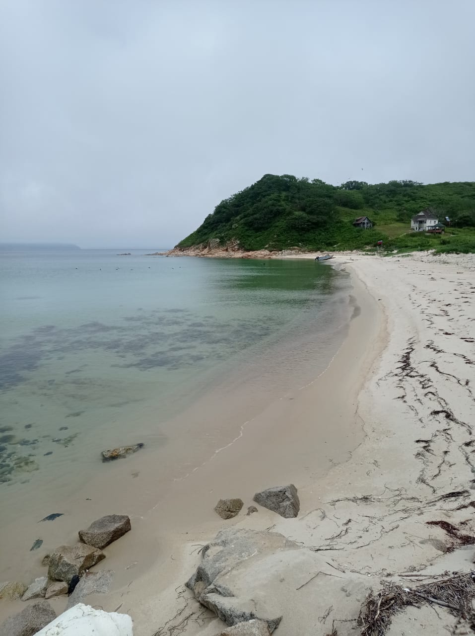 Заповедные истории: леопард, ларги и море