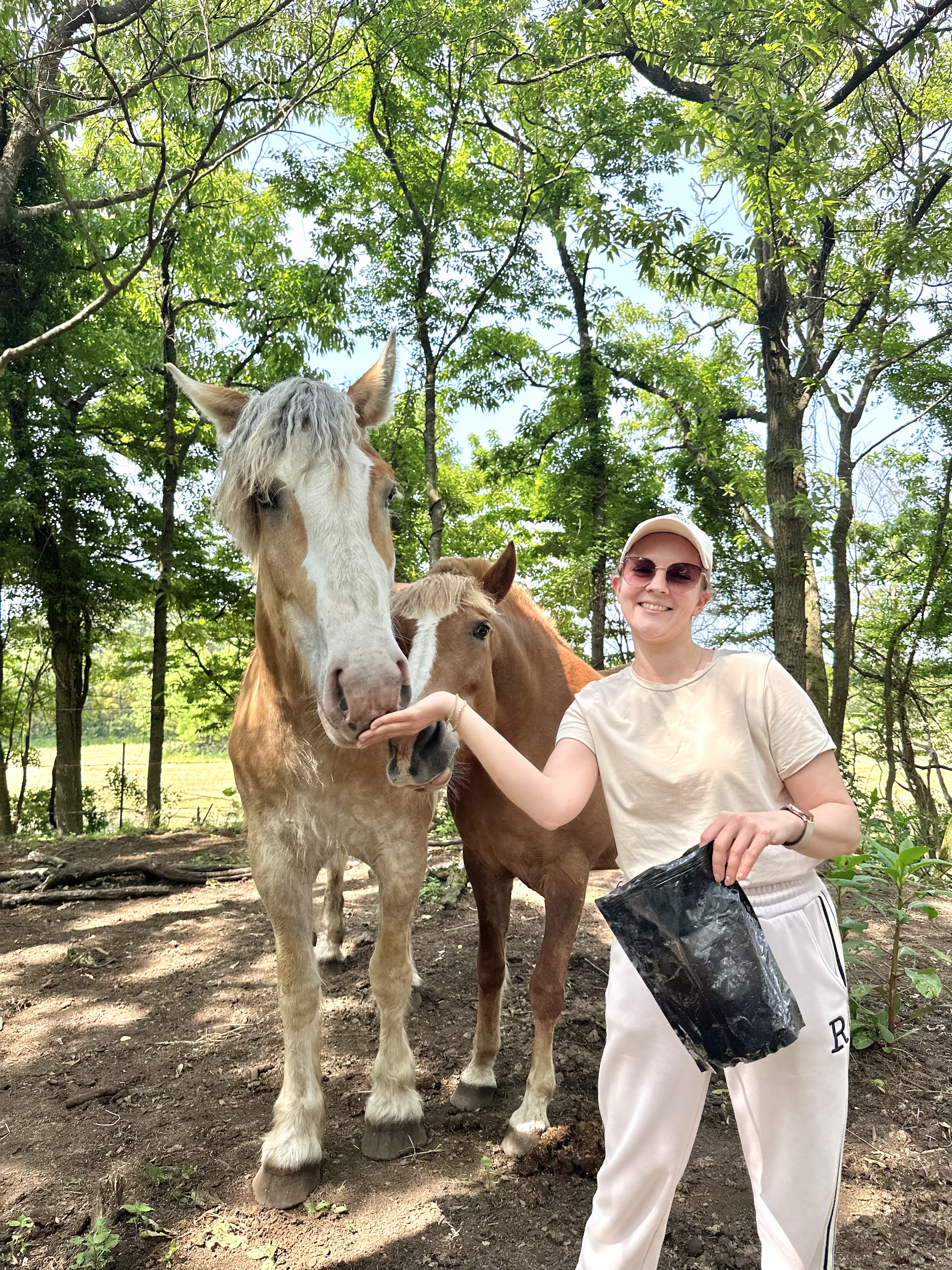 Авторский тур по острову Чеджу, формат All Inclusive (5/13)