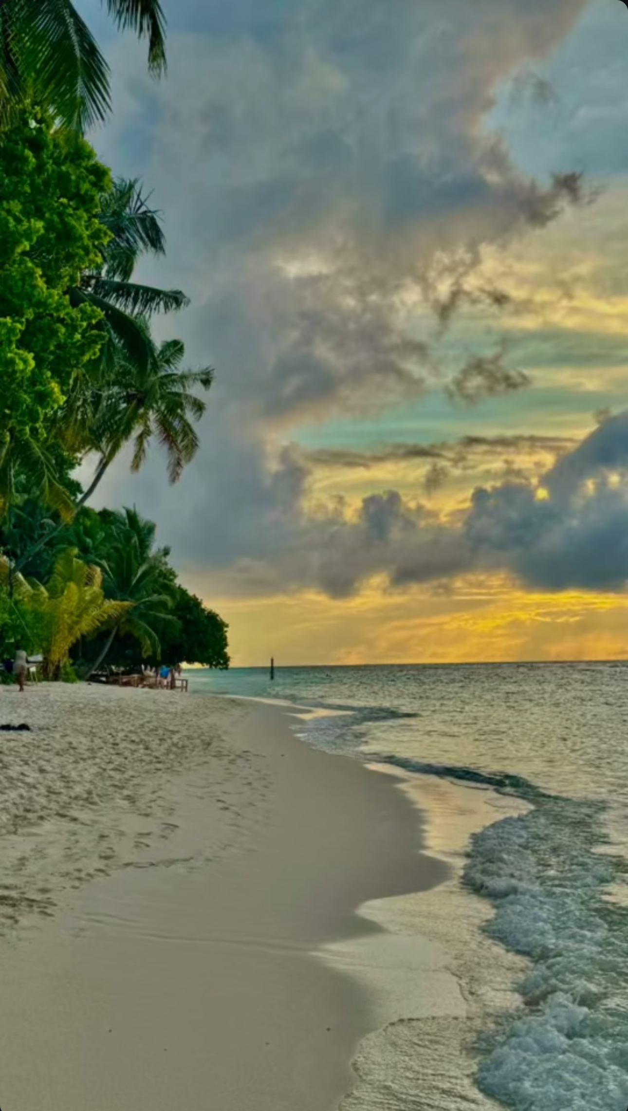 Тропические приключения на Мальдивах (17/36)