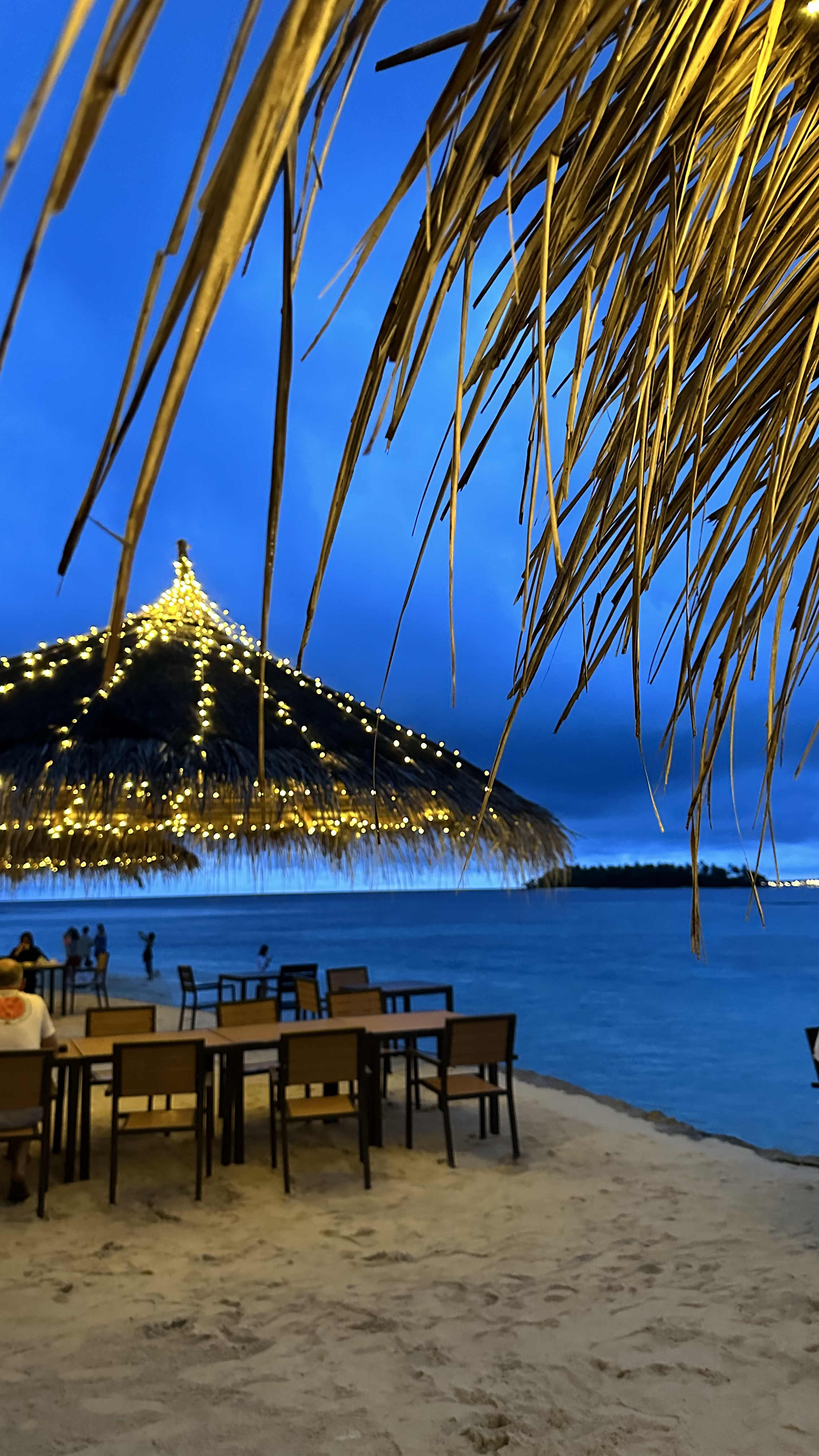 Тропические приключения на Мальдивах (3/36)