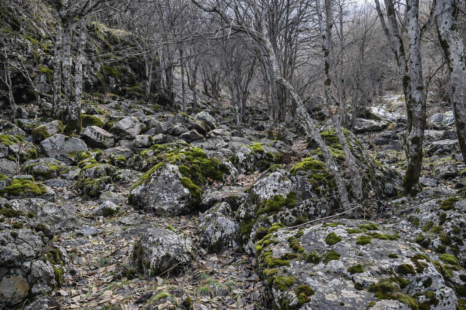 День в горах рядом с Душанбе: водопад и традиционная кухня (5/25)