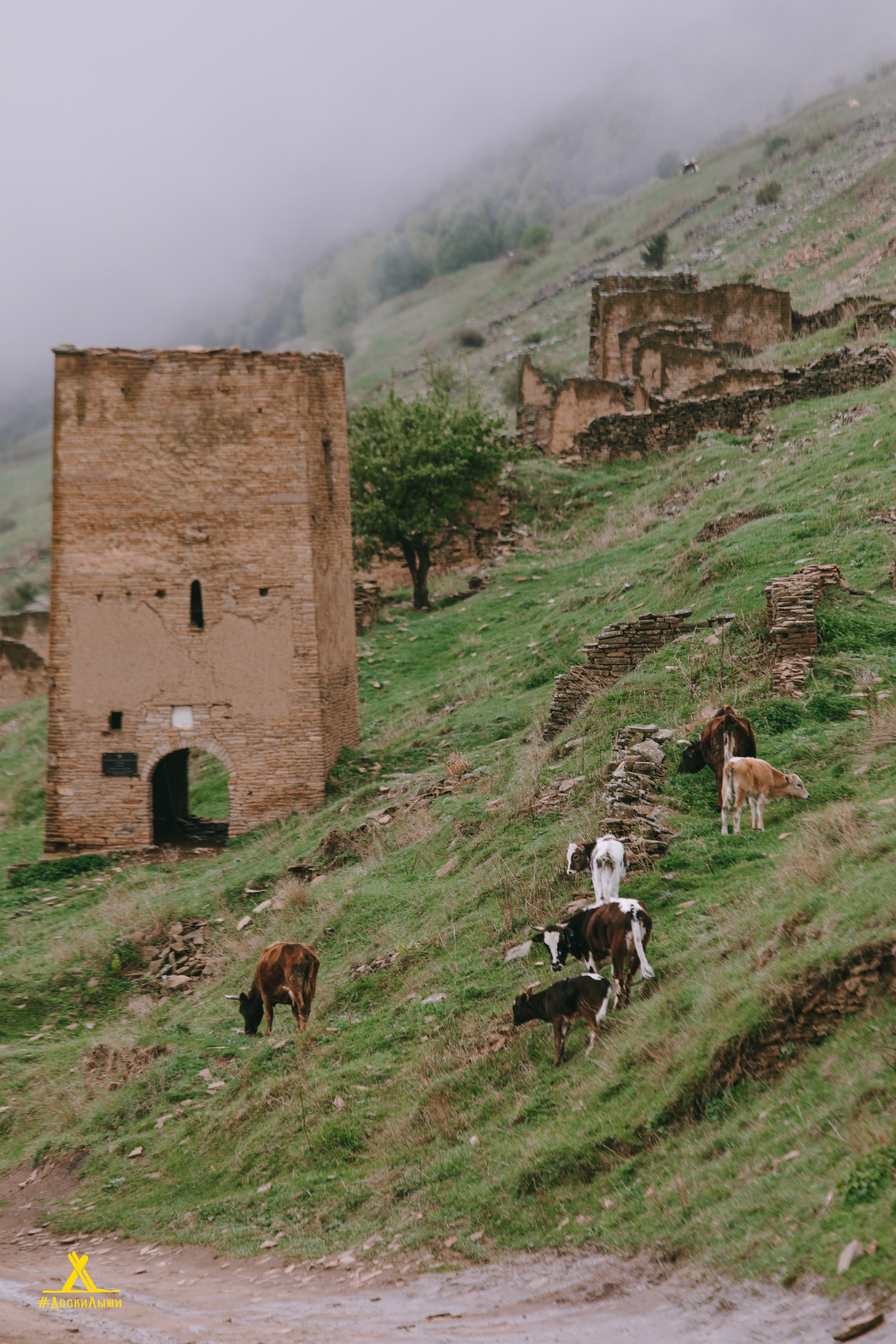 Солнечный Дагестан: горы, ущелья, Дербент (10/21)