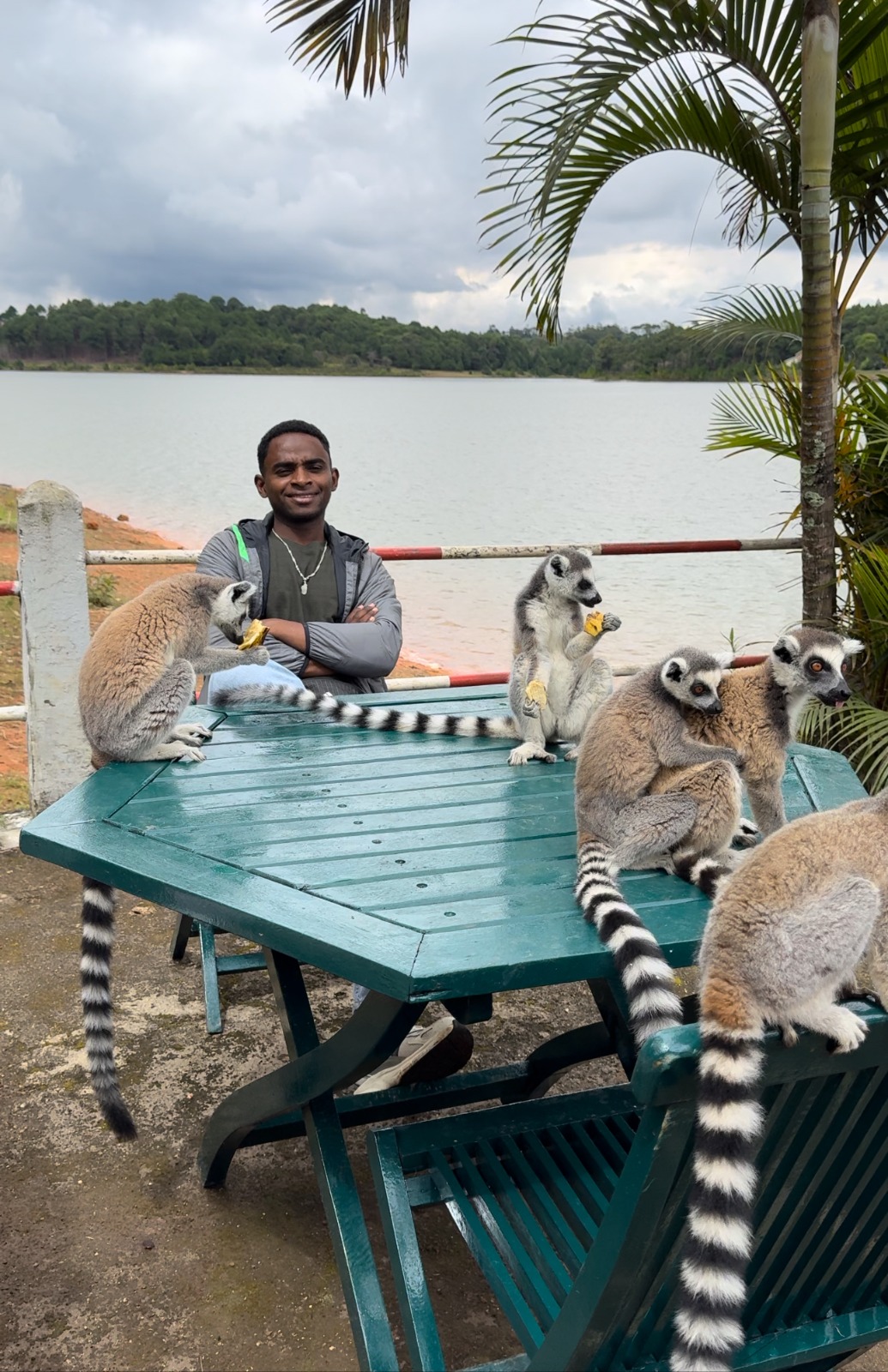 04 Дня - Тропические леса Восточного Мадагаскара