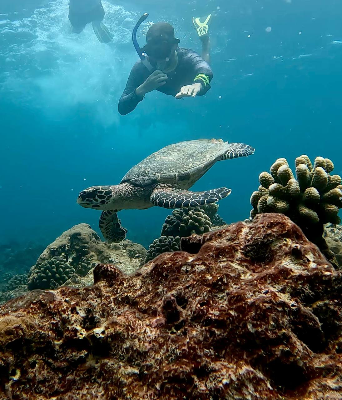 Тропические приключения на Мальдивах (20/36)