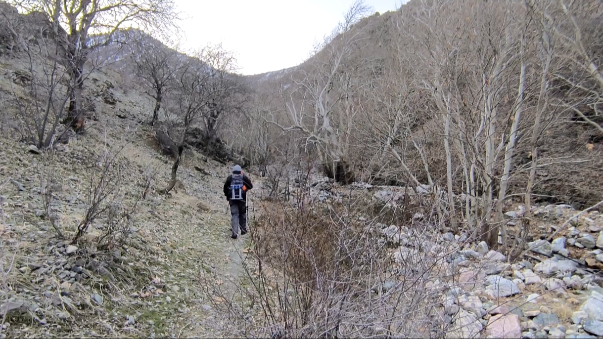 День в горах рядом с Душанбе: водопад и традиционная кухня (17/25)