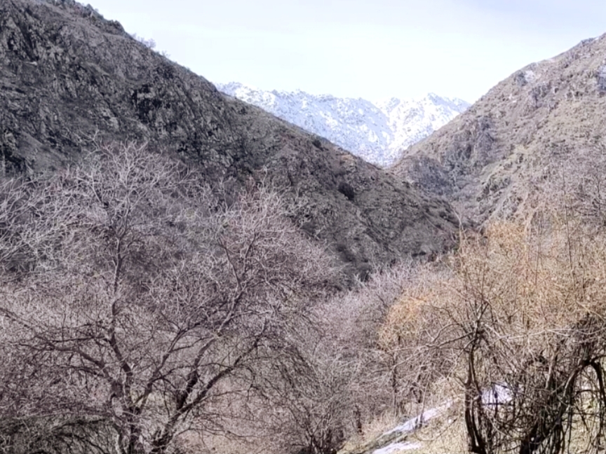 День в горах рядом с Душанбе: водопад и традиционная кухня (6/25)