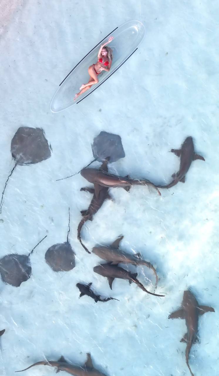 Тропические приключения на Мальдивах (25/36)