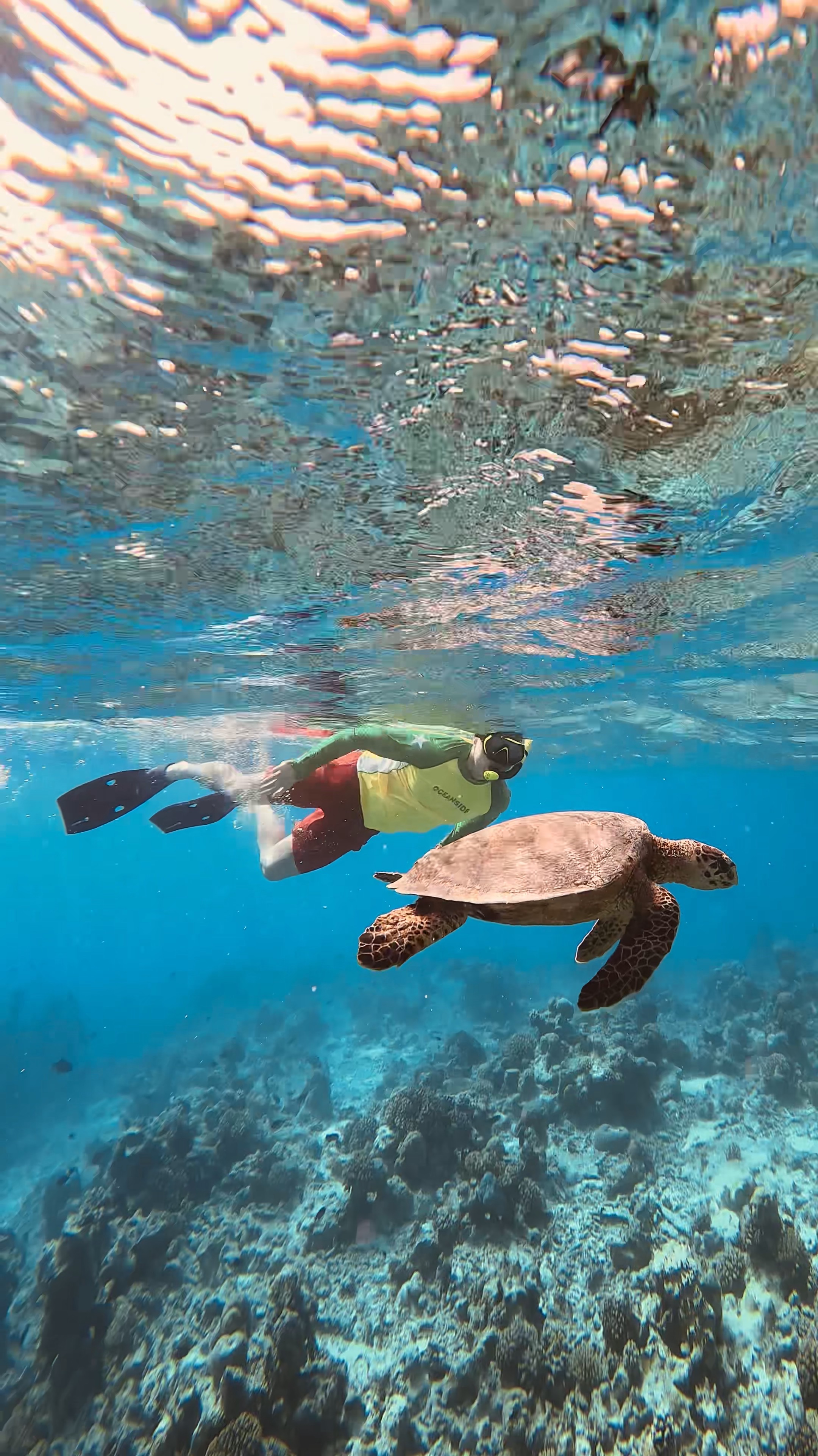 Мальдивы Для Пар - Ваши даты (48/61)