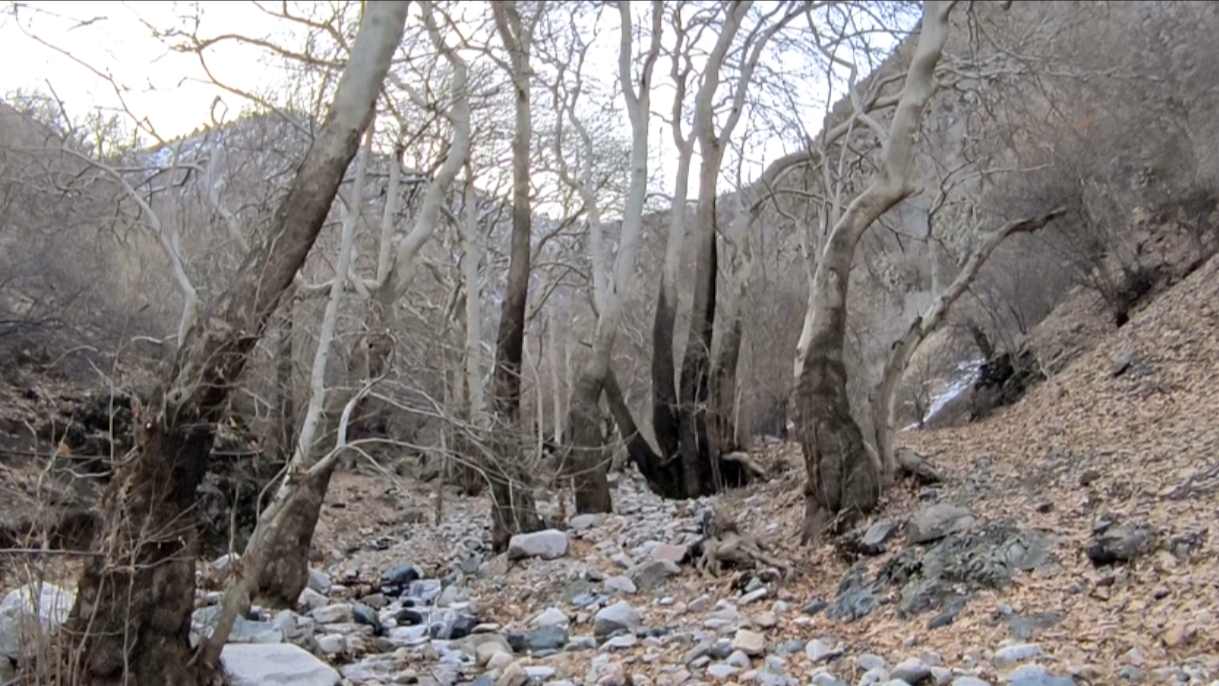 День в горах рядом с Душанбе: водопад и традиционная кухня (8/25)
