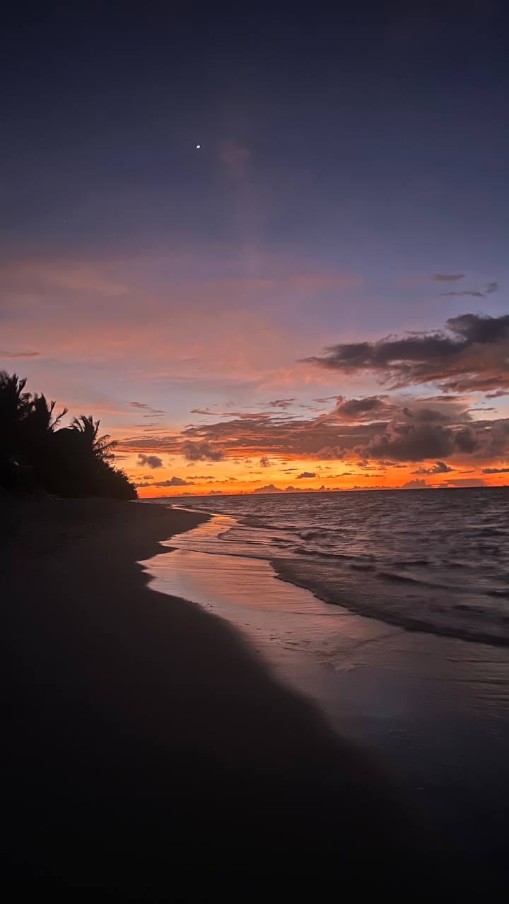 Тропические приключения на Мальдивах (28/36)