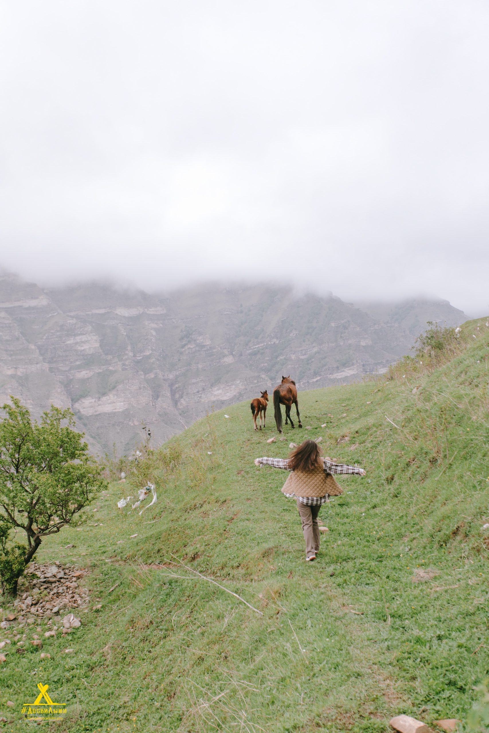 Солнечный Дагестан: горы, ущелья, Дербент (20/21)