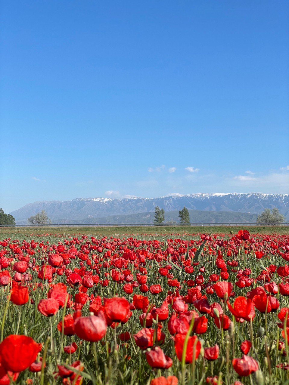 Казахстан. 8 дней по самым потрясающе красивым местам! (6/29)
