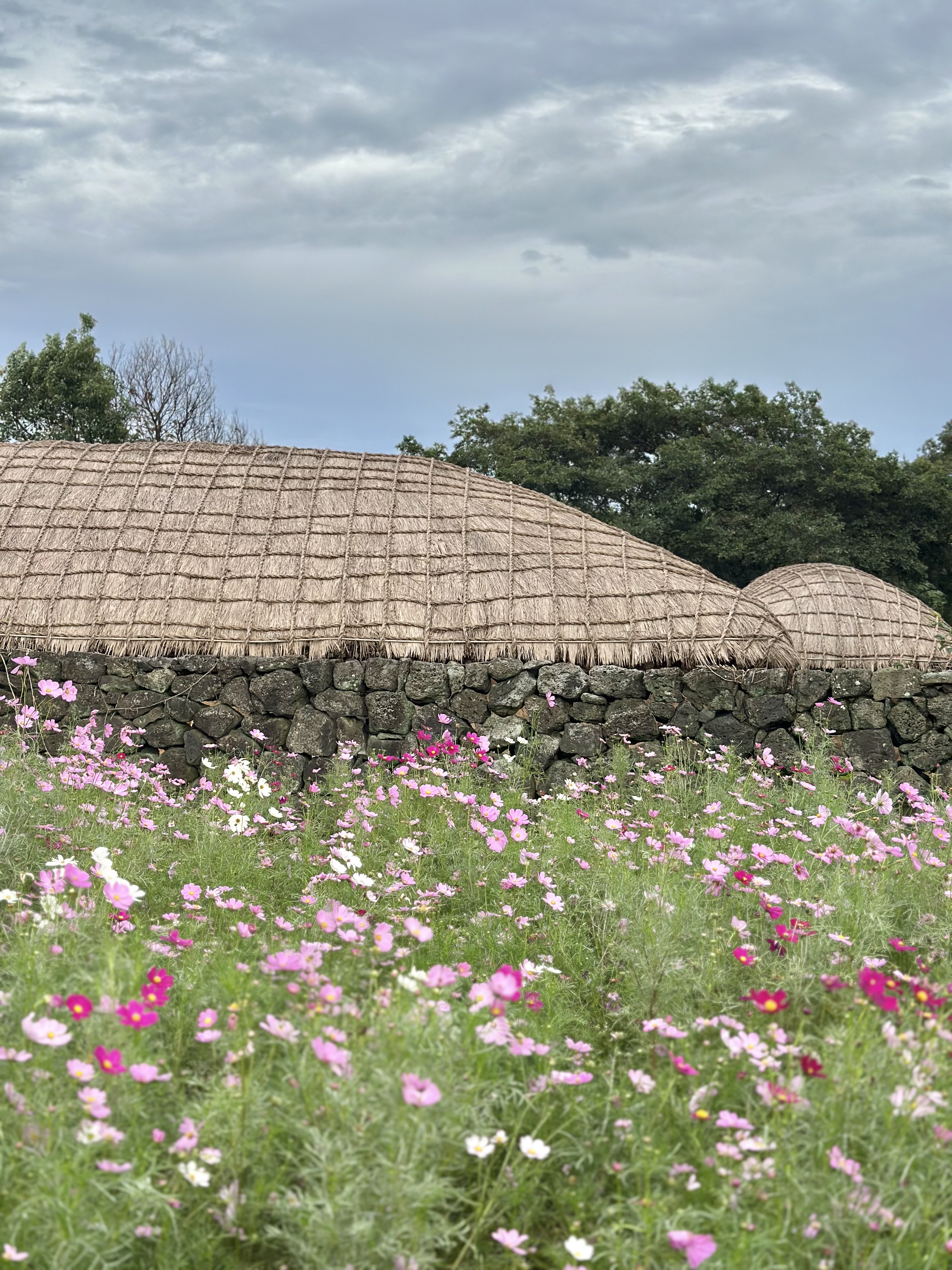 Авторский тур по острову Чеджу, формат All Inclusive (3/13)