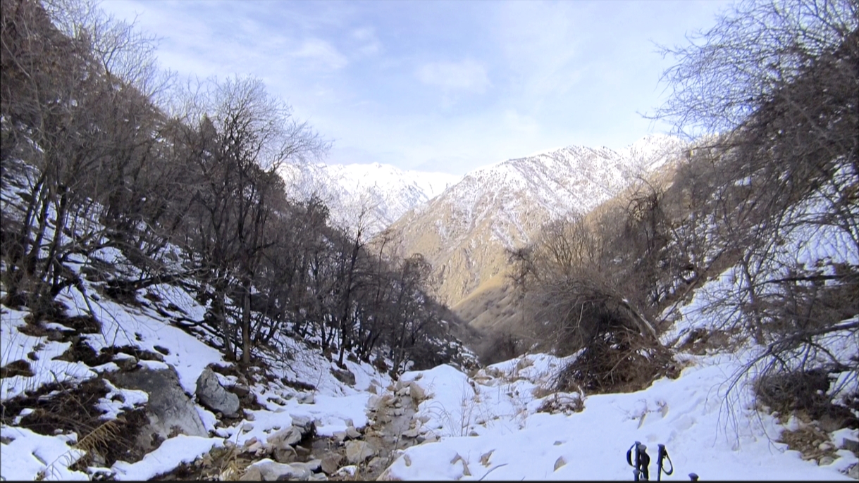 День в горах рядом с Душанбе: водопад и традиционная кухня (11/25)