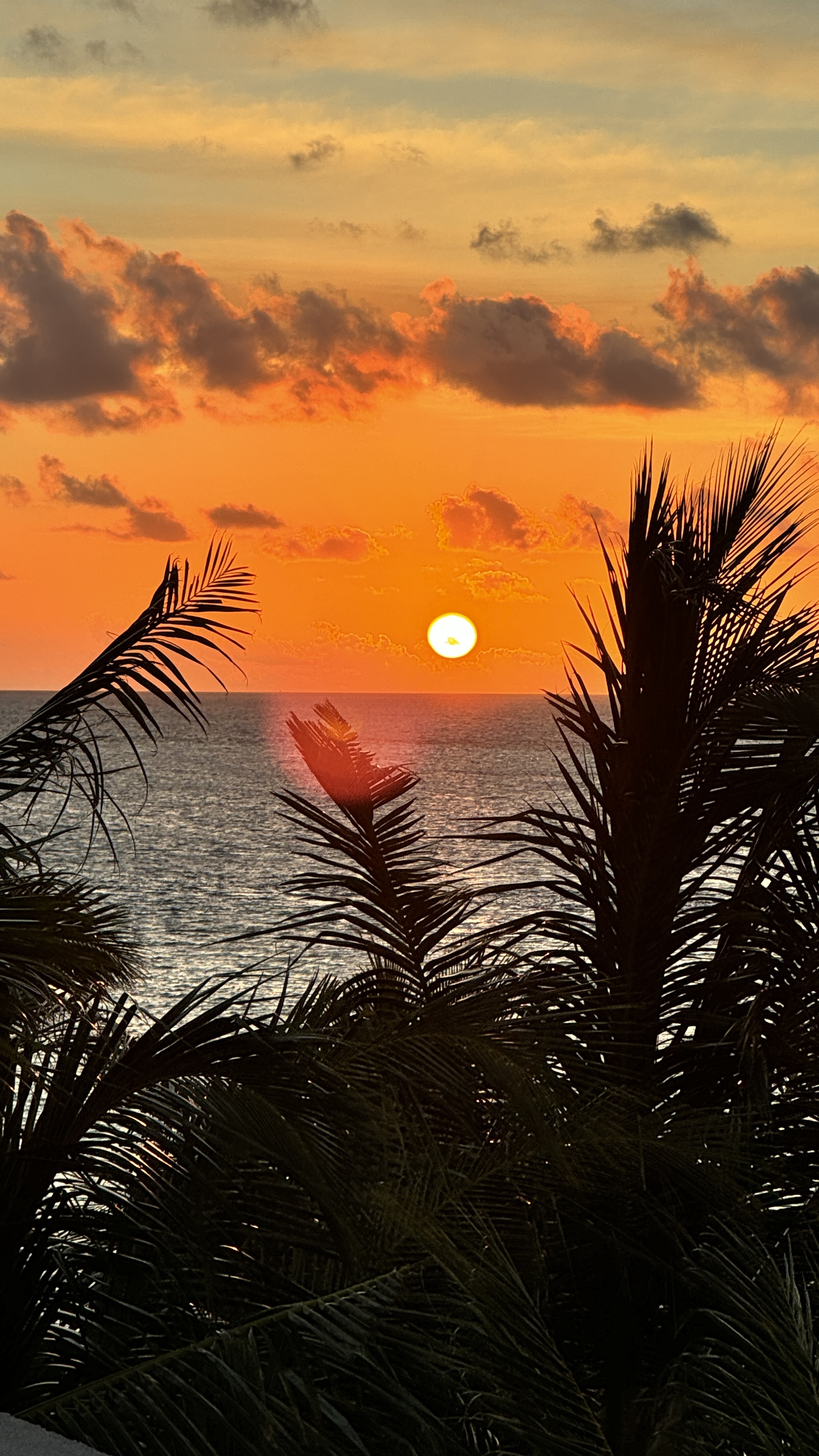 Тропические приключения на Мальдивах (8/36)