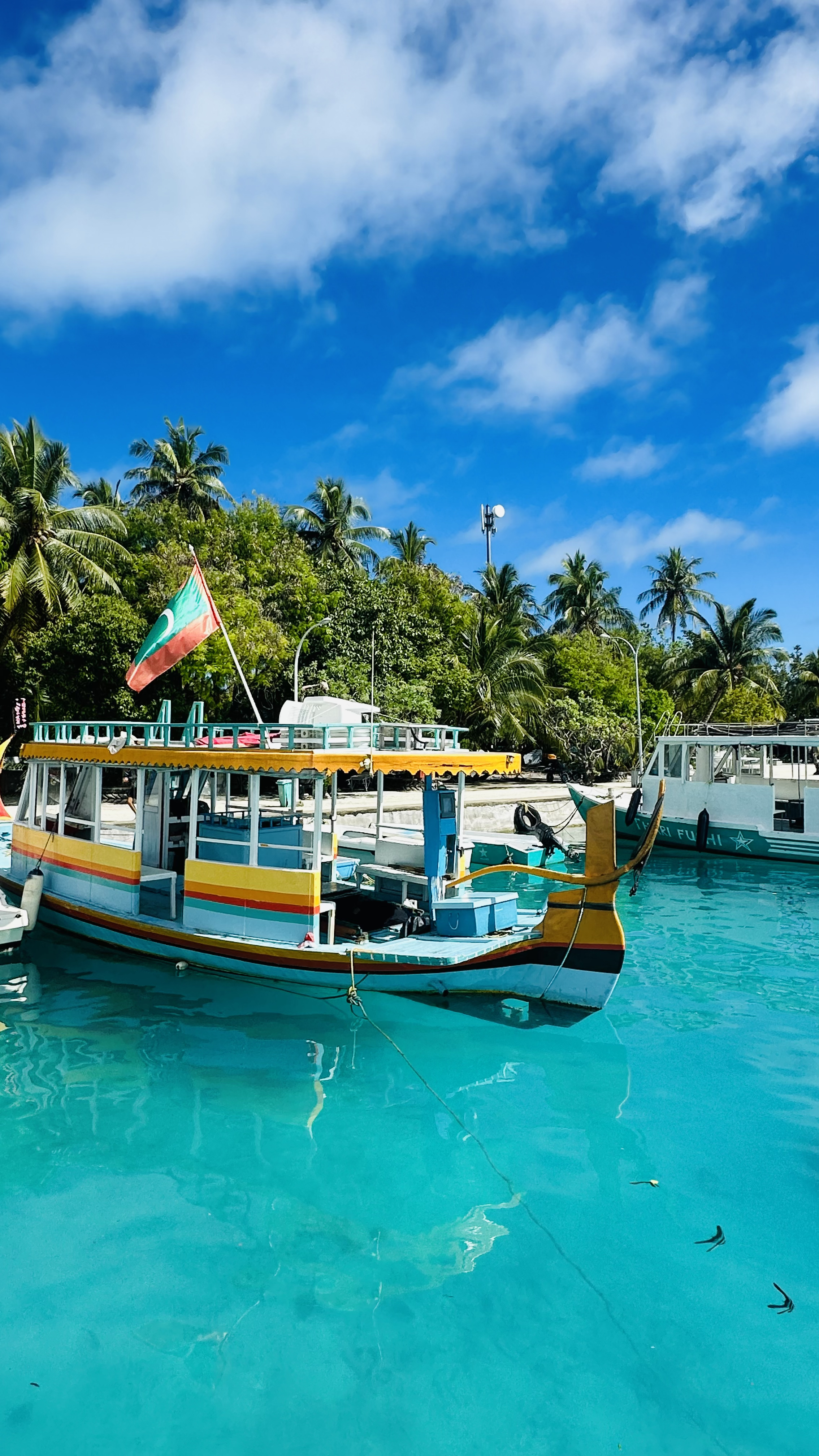 Тропические приключения на Мальдивах (2/36)
