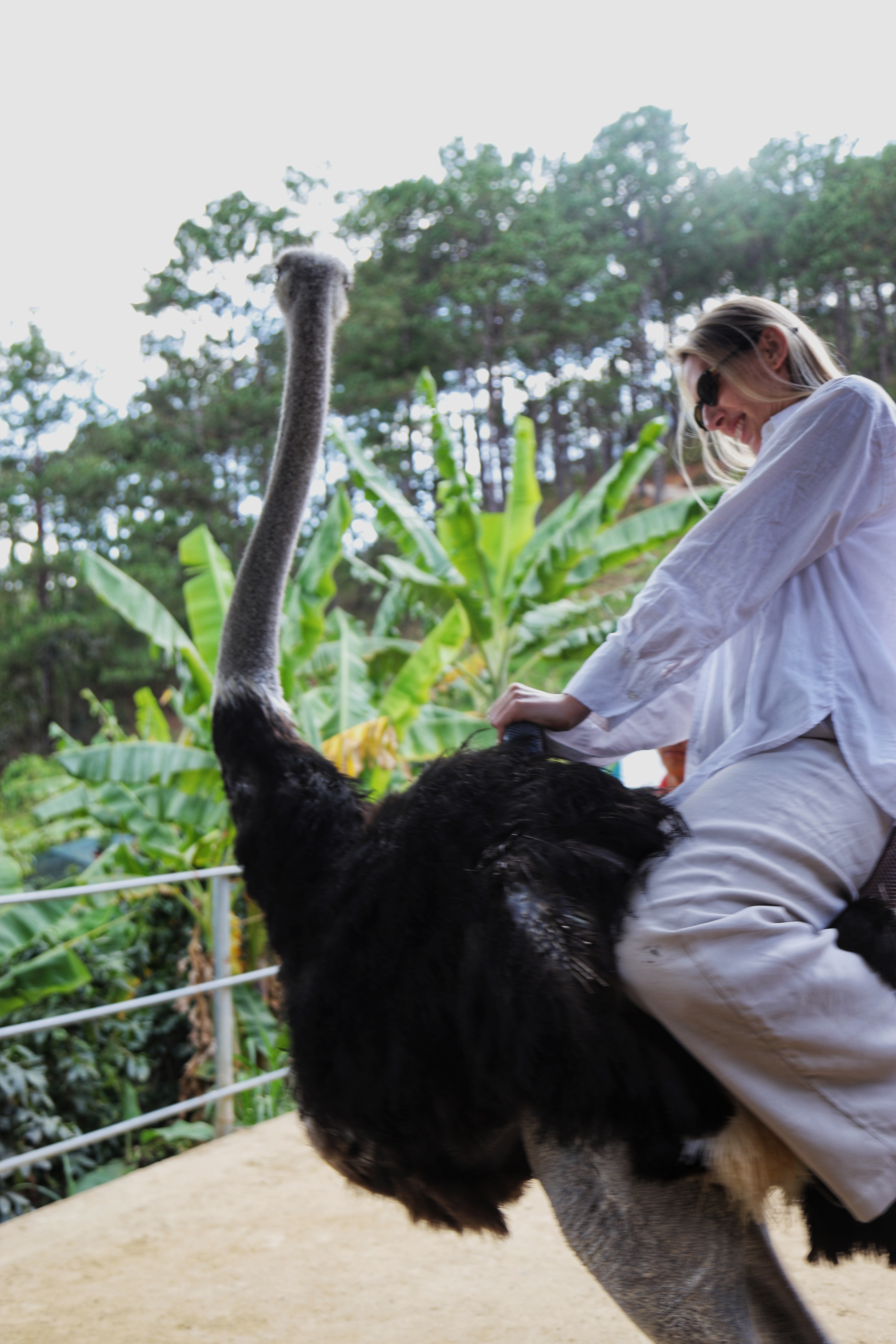 Фототур в Далат на один день (11/17)