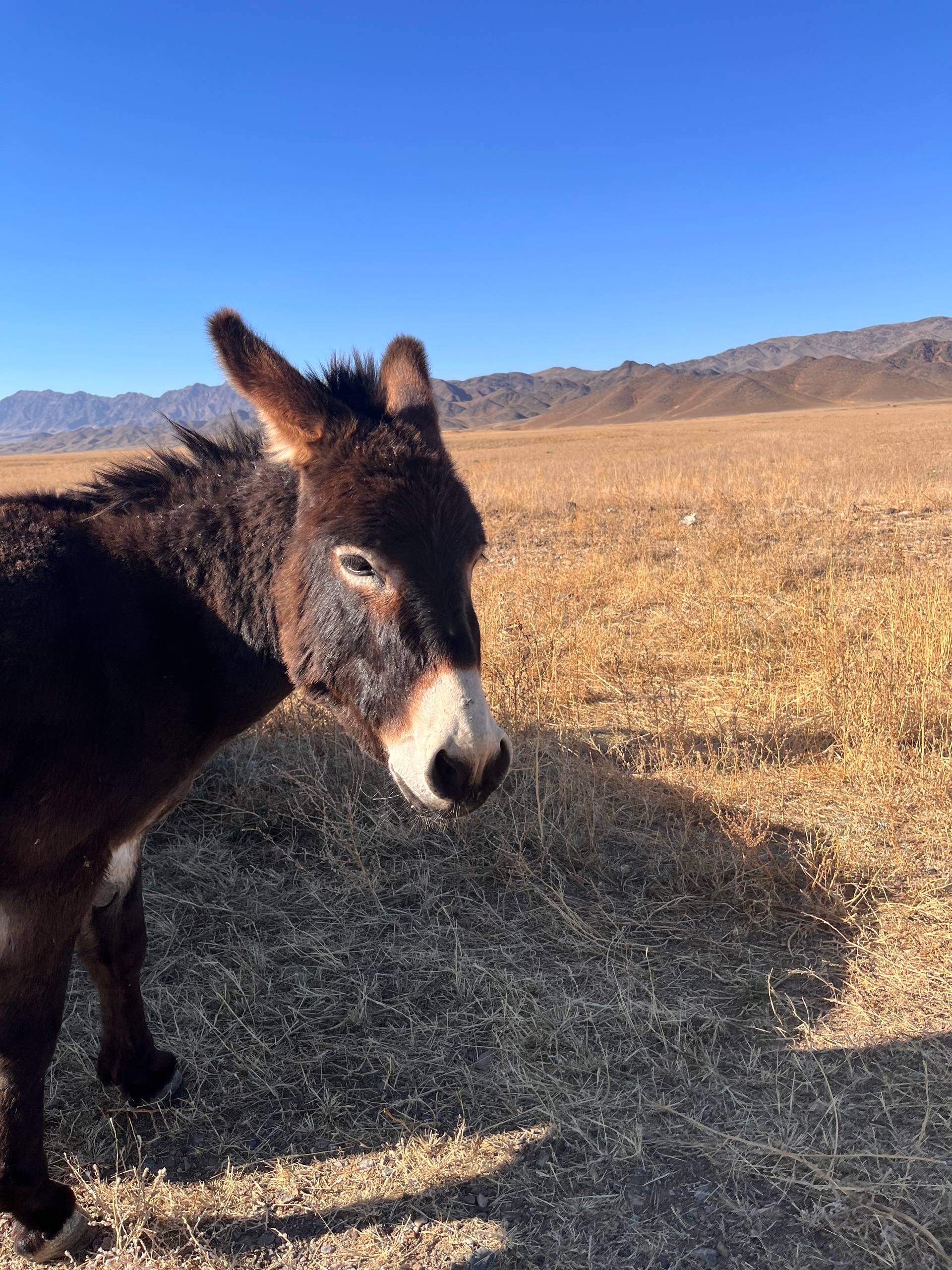 Казахстан. 8 дней по самым потрясающе красивым местам! (10/29)