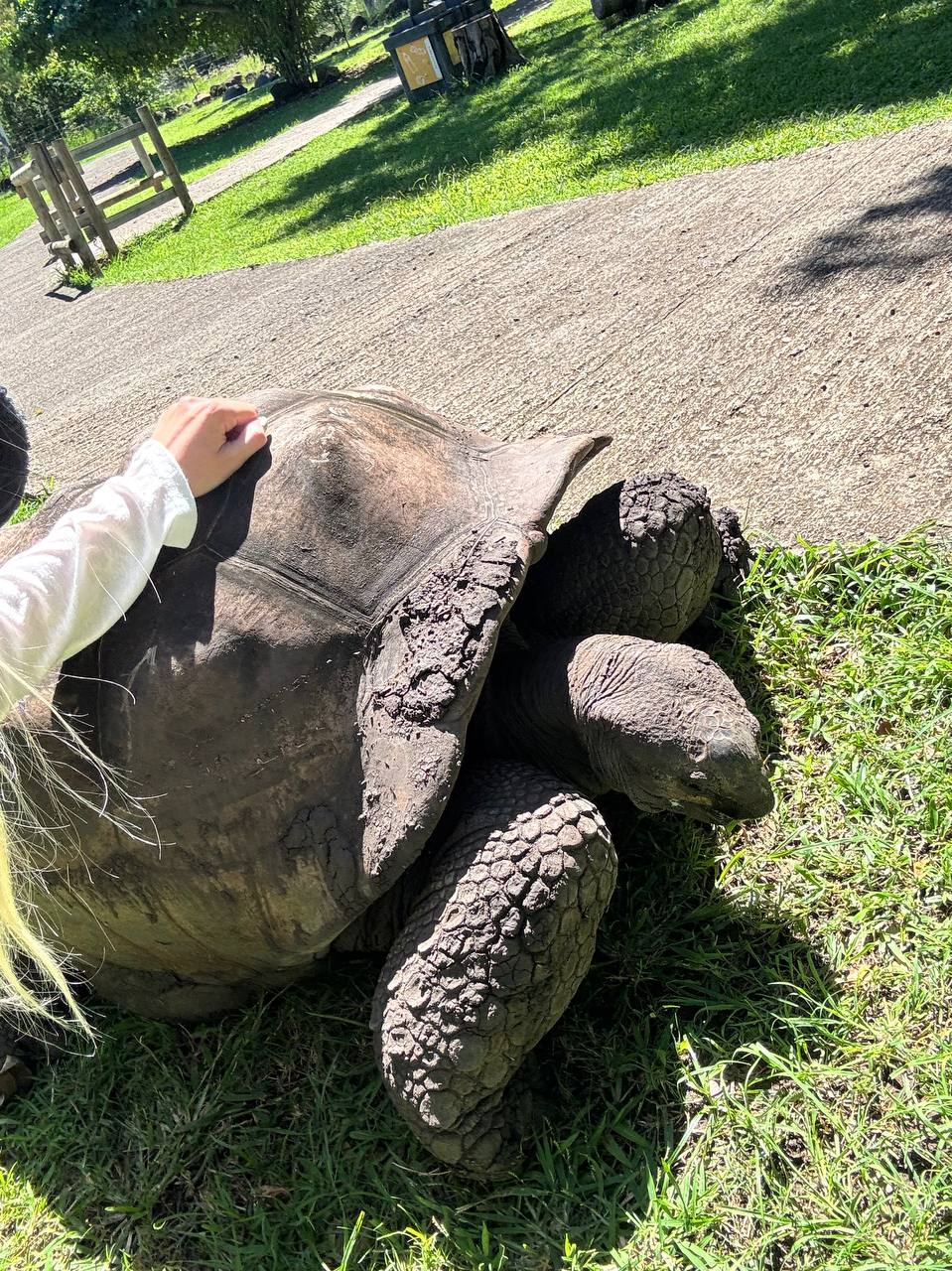 Маврикий - Райский Остров (6/10)