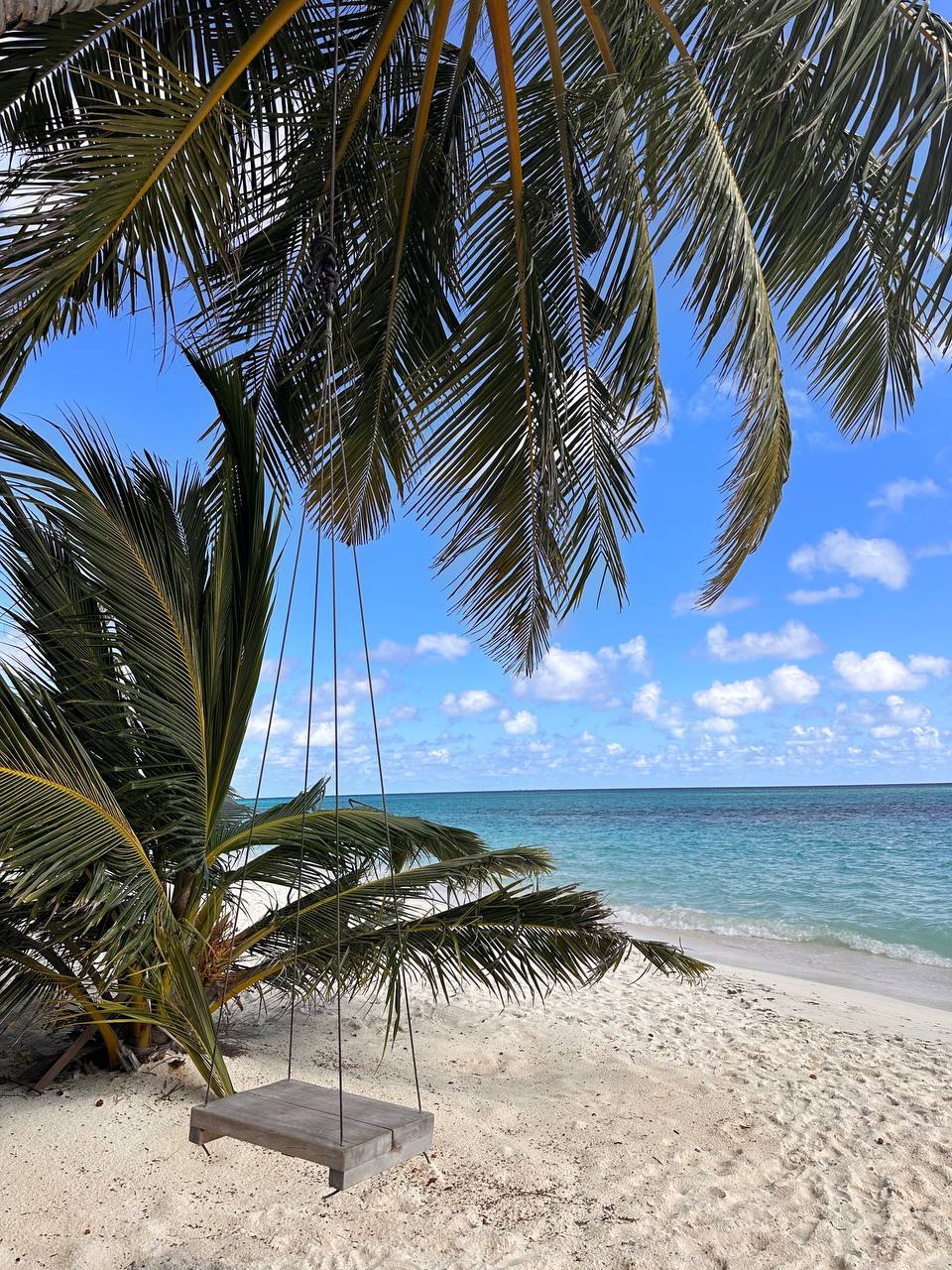 Тодду Magic: ретрит с йогой в гамаках и саунд-хилингом (53/58)