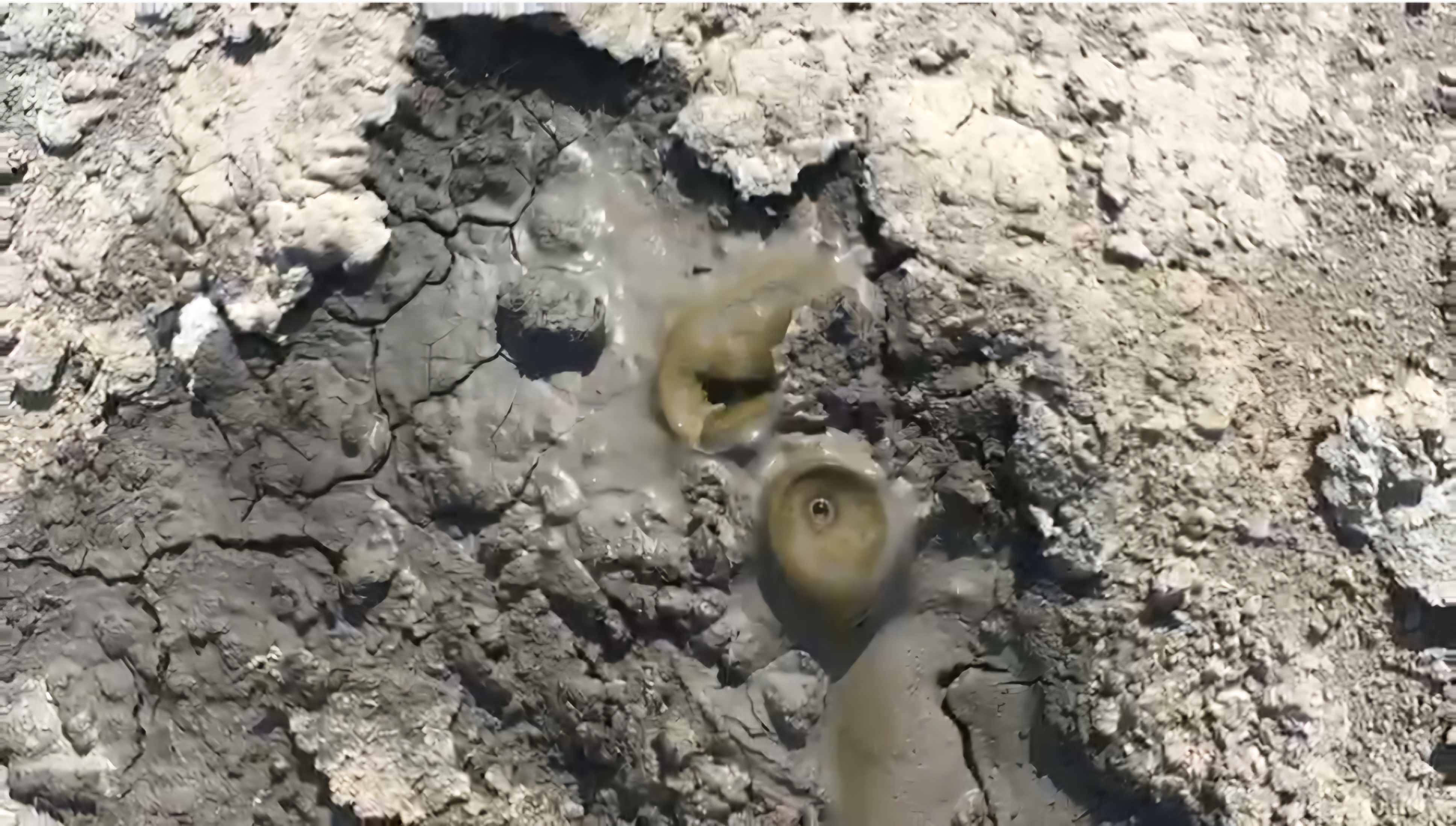 Нафталан — будем оздоровливаться настоящей нефтью? Да! (7/36)