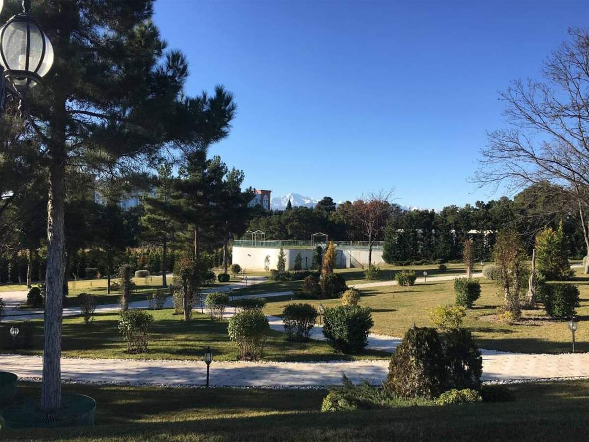 Нафталан — будем оздоровливаться настоящей нефтью? Да! (2/36)