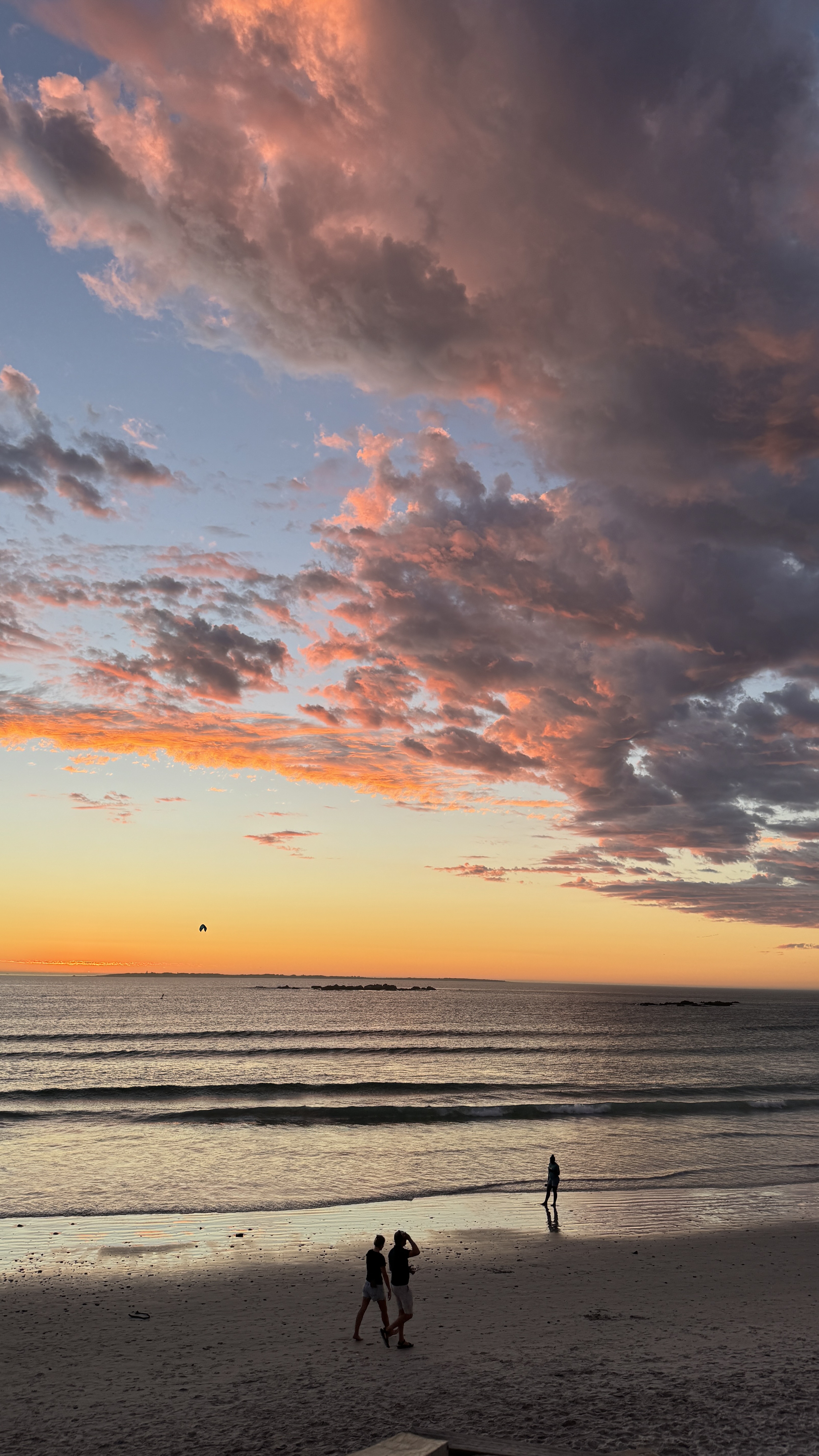 Девичник мечты в Кейптауне на 8 марта: океан, сафари и винные долины (3/35)