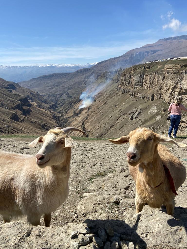 Вальс Цветов.  5 дней весны (8/71)