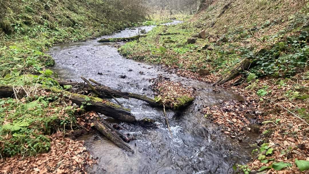 Гянджа — легенда в камне и стихах (6/23)