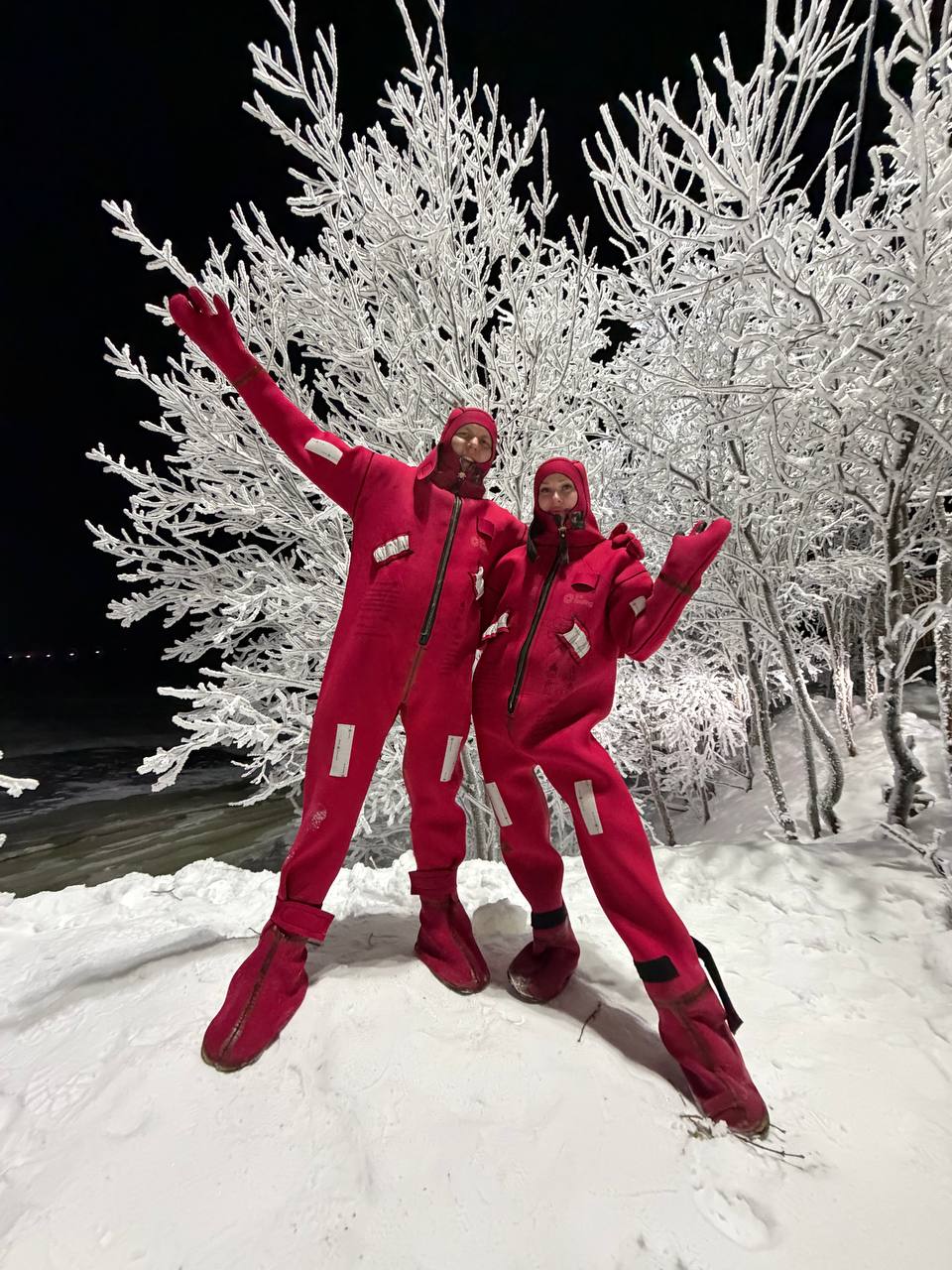 Поймай свое сияние: Териберка, киты и настоящий север (комфортные условия проживания) (4/34)