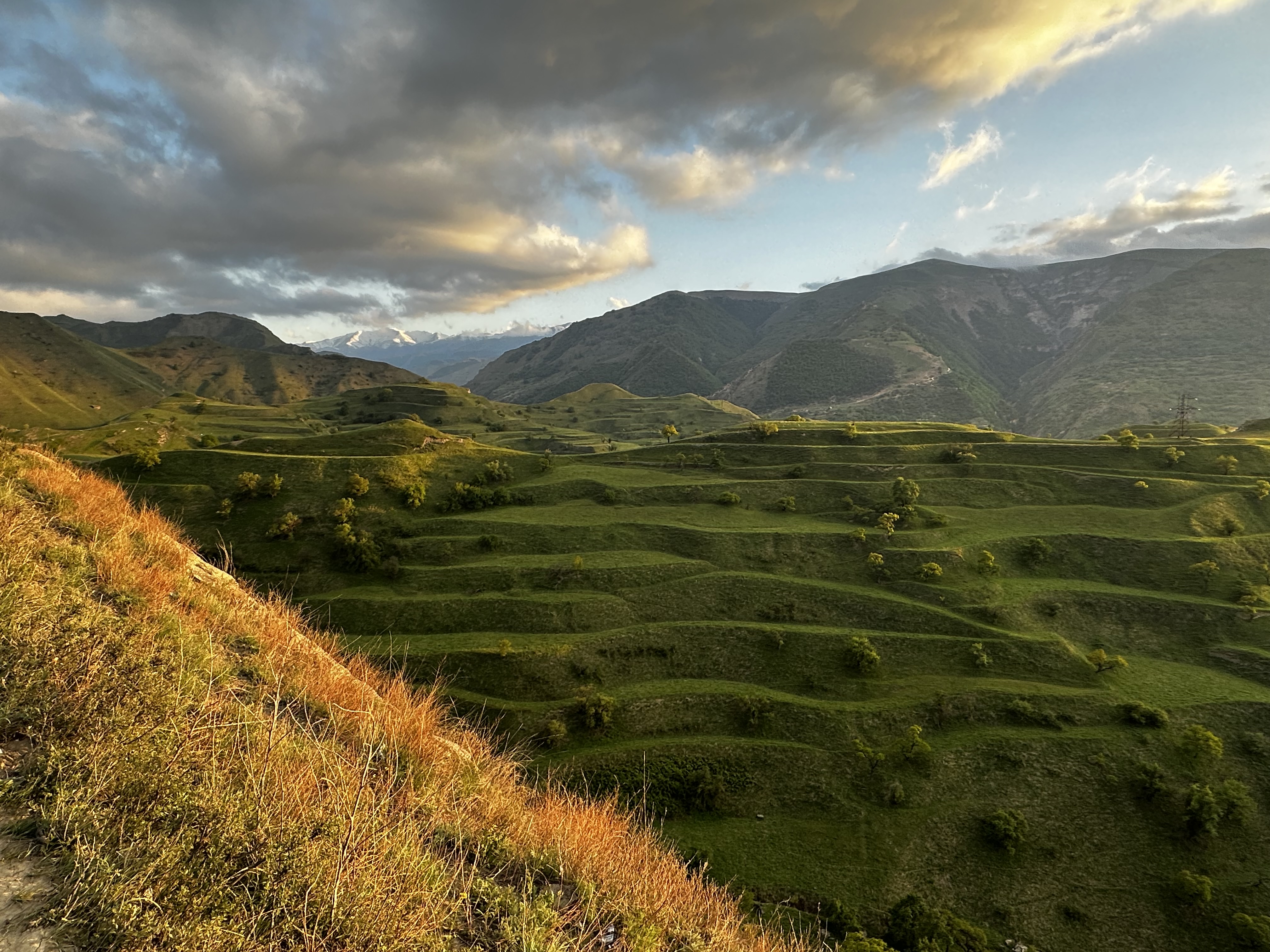 Вальс Цветов.  5 дней весны (5/71)