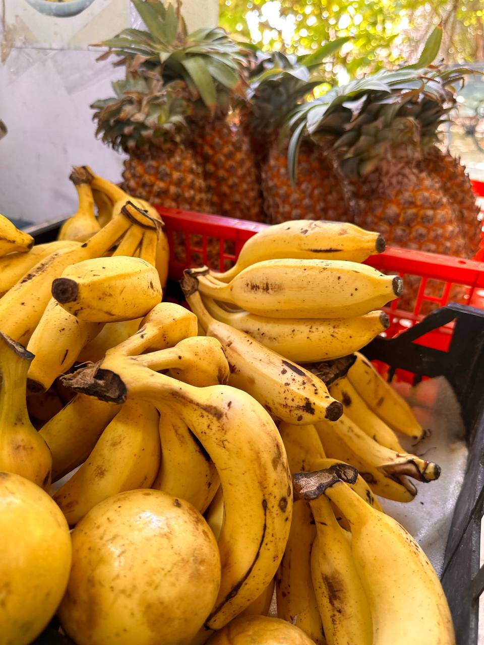 Тодду Magic: ретрит с йогой в гамаках и саунд-хилингом (16/58)