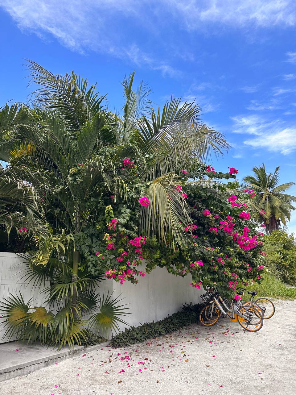 Тодду Magic: ретрит с йогой в гамаках и саунд-хилингом (20/58)