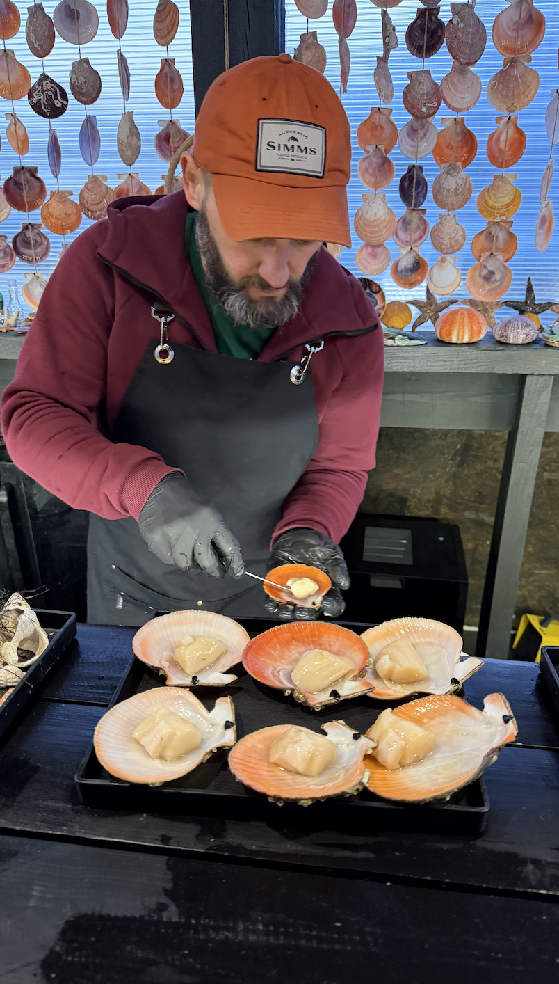 Поймай свое сияние: Териберка, киты и настоящий север (комфортные условия проживания) (27/34)