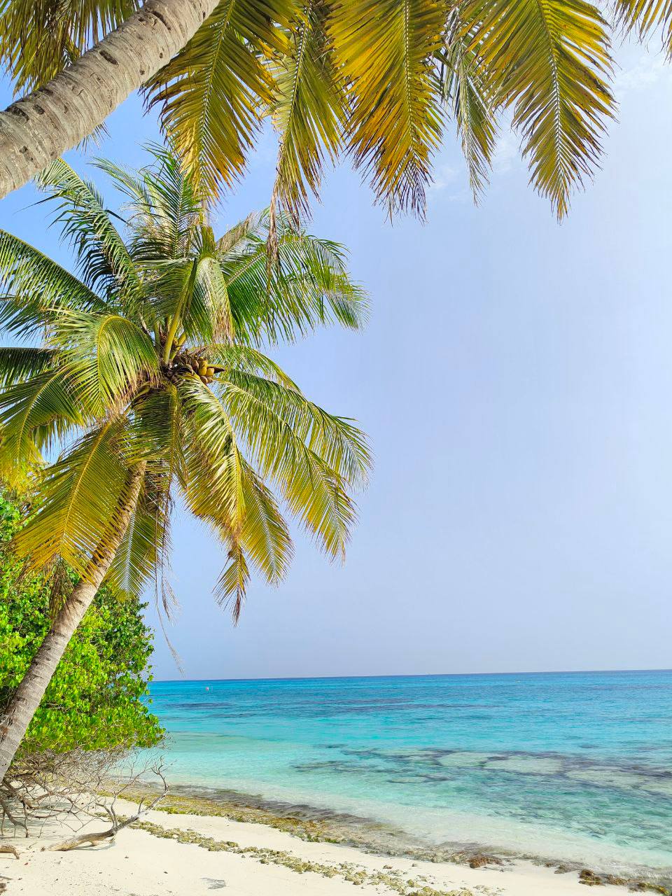 Тодду Magic: ретрит с йогой в гамаках и саунд-хилингом (19/58)