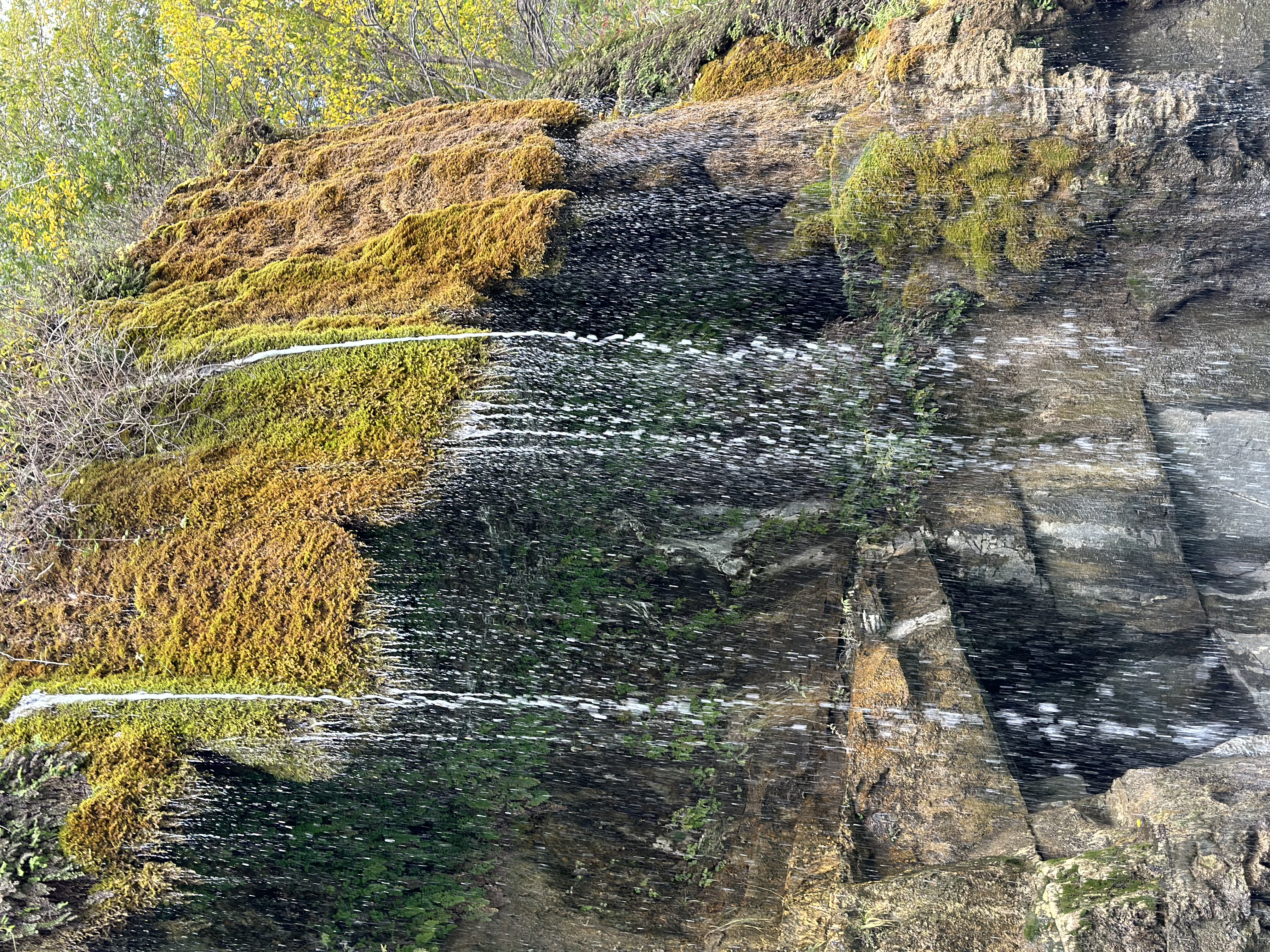 Вальс Цветов.  5 дней весны (3/71)