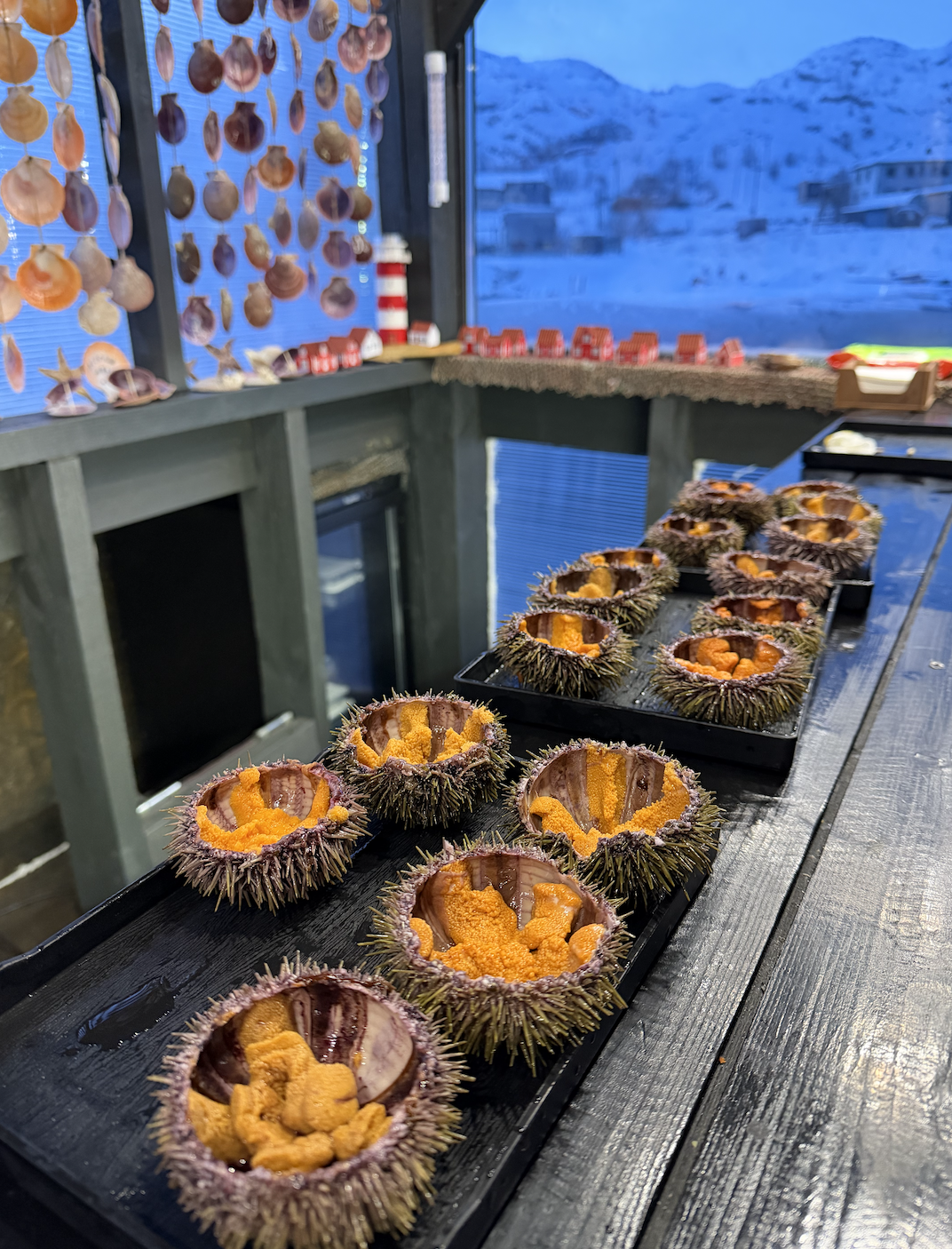 Поймай своё сияние: Териберка, киты и настоящий Север (комфортные условия проживания)