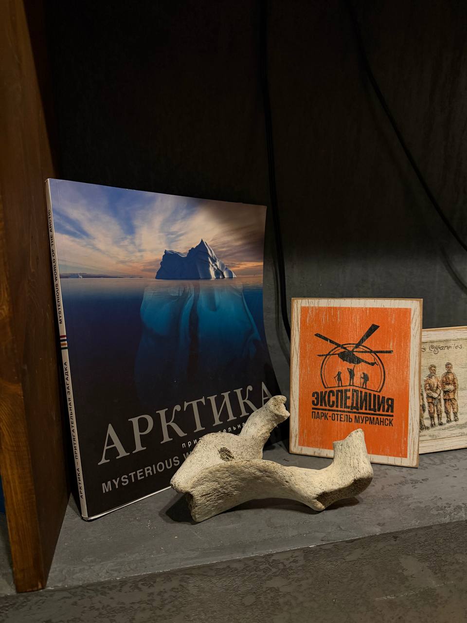 Поймай свое сияние: Териберка, киты и настоящий север (комфортные условия проживания) (6/34)