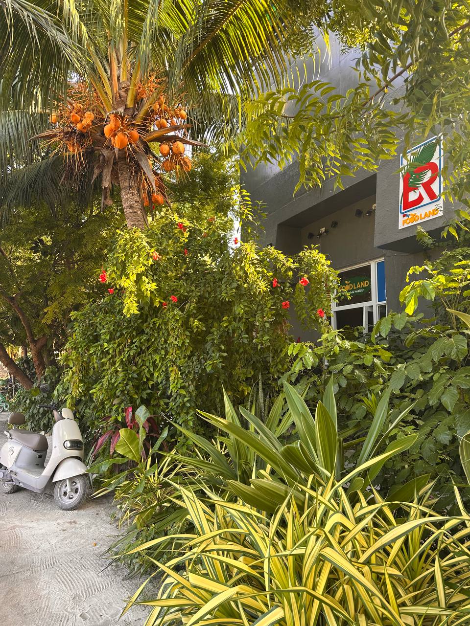 Тодду Magic: ретрит с йогой в гамаках и саунд-хилингом (23/58)