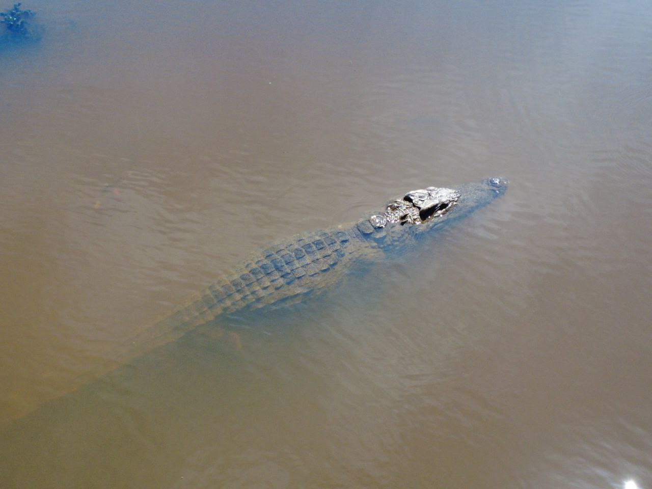 Вьетнам Юг. От дельты до облаков. (8/50)