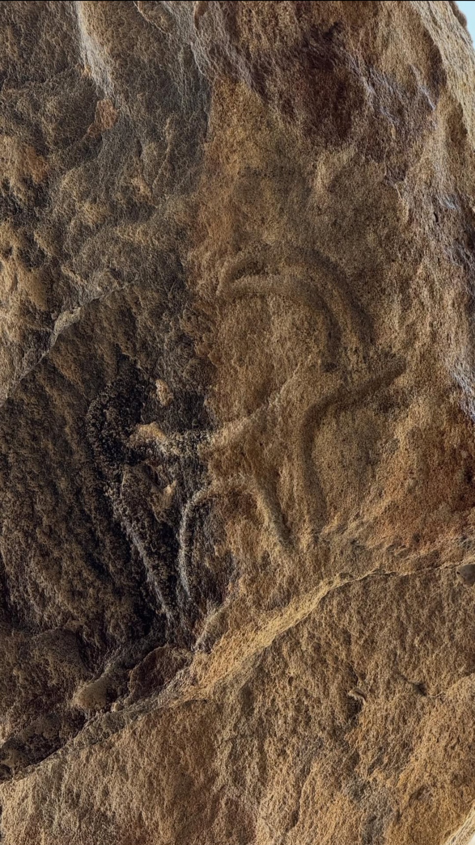 Нафталан — будем оздоровливаться настоящей нефтью? Да! (4/36)