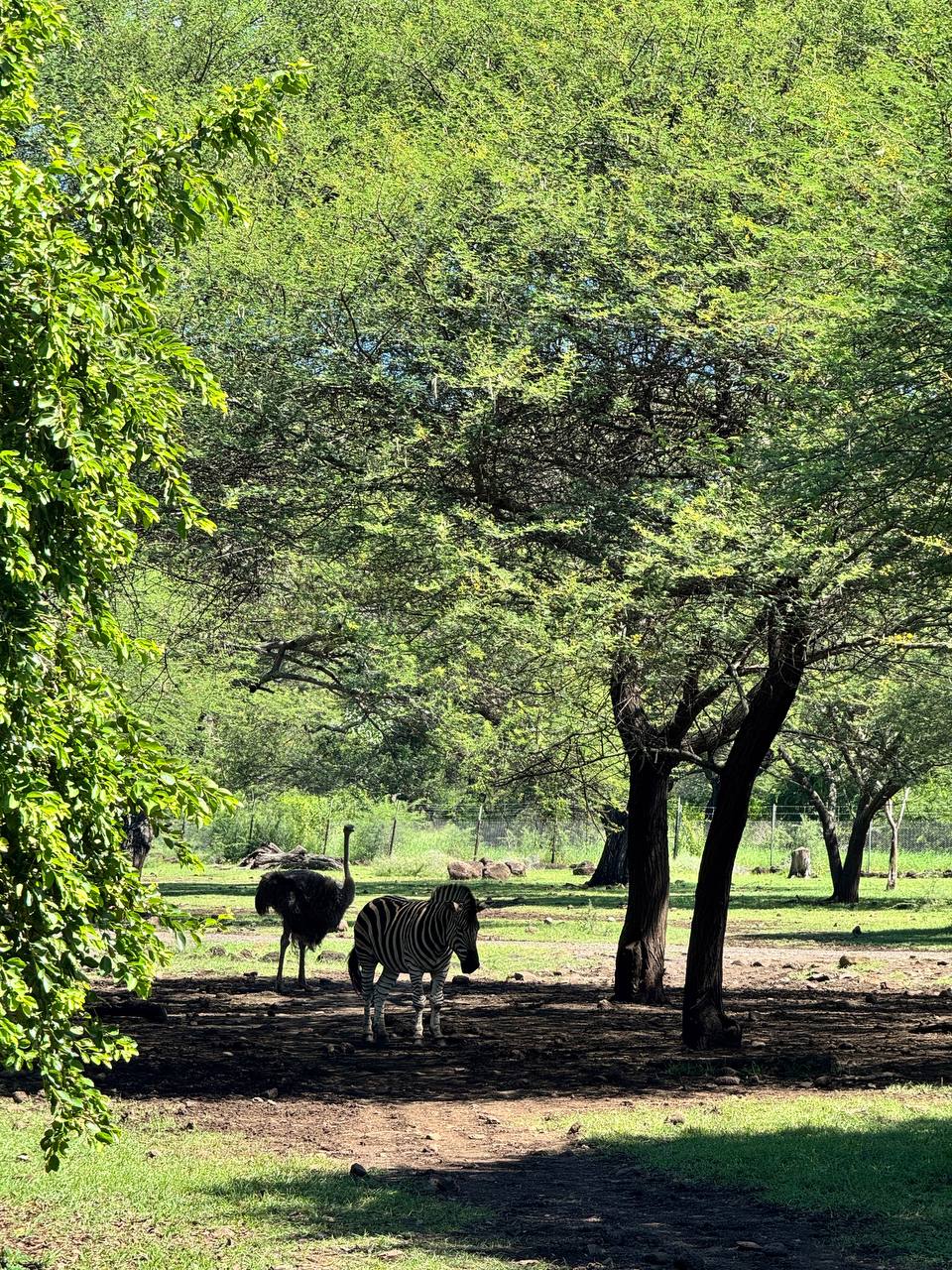 Маврикий - Райский Остров (4/10)