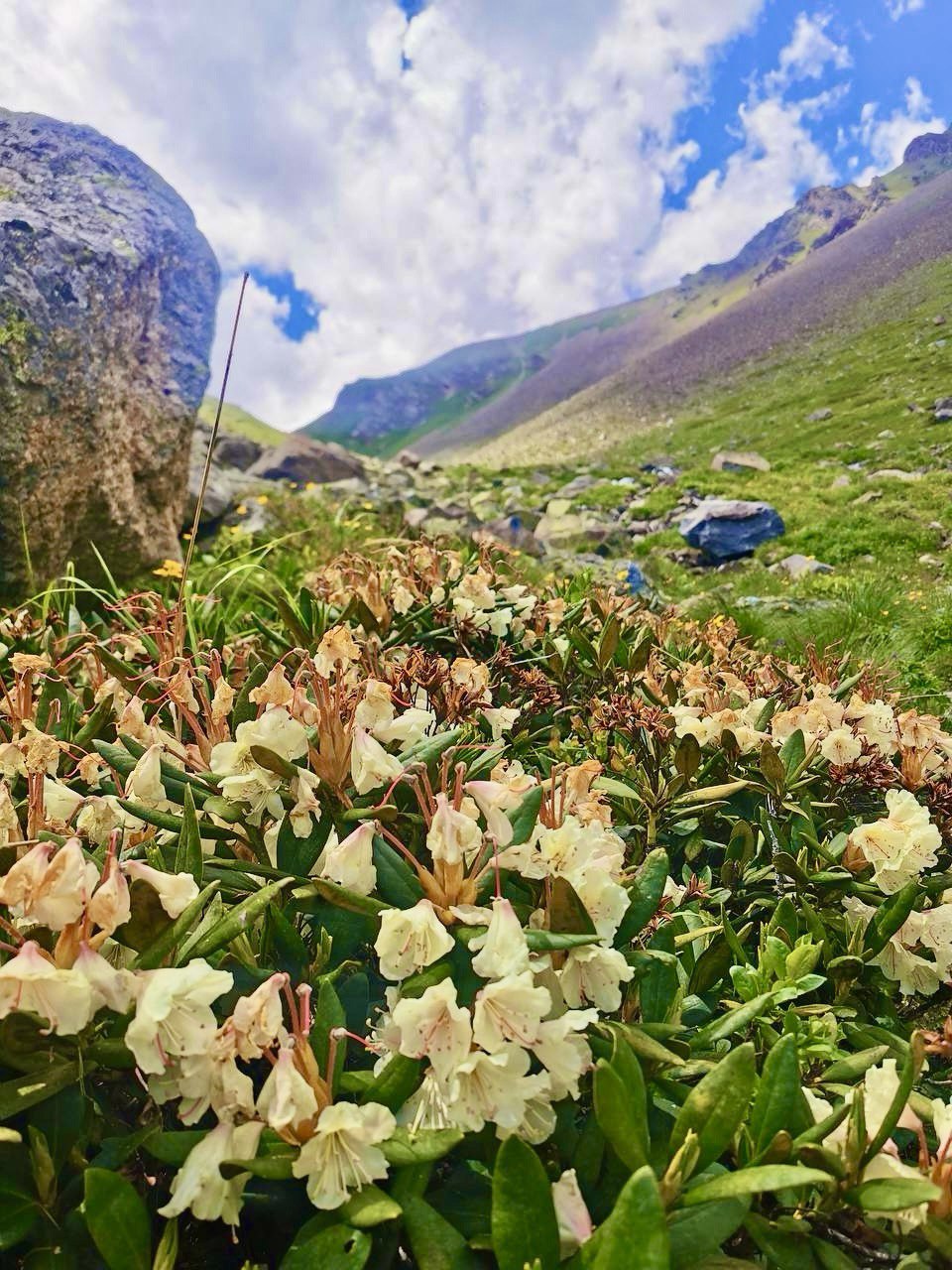 Долины, водопады и нарзаны. Заключительный аккорд