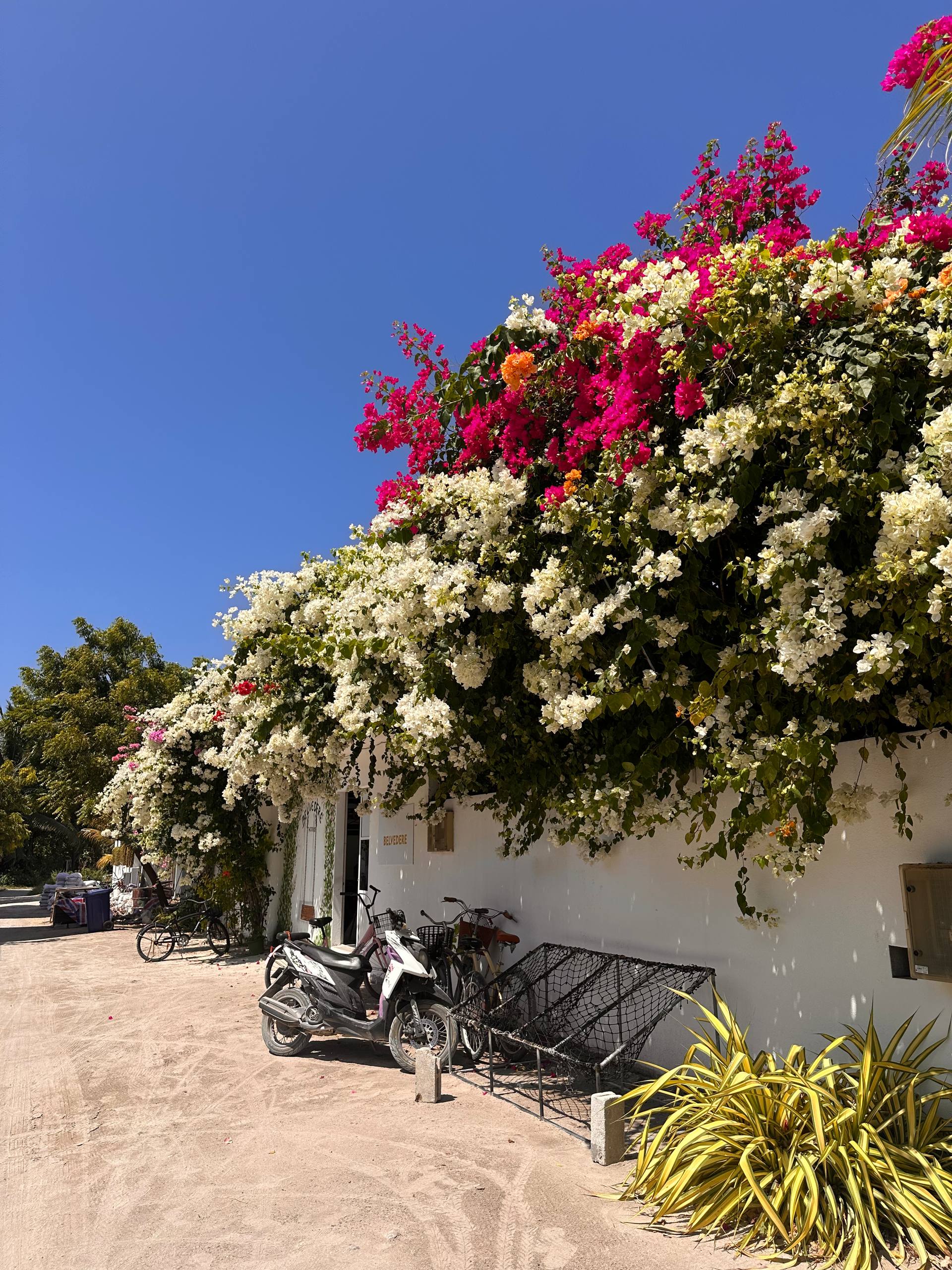 Тодду Magic: ретрит с йогой в гамаках и саунд-хилингом (17/58)