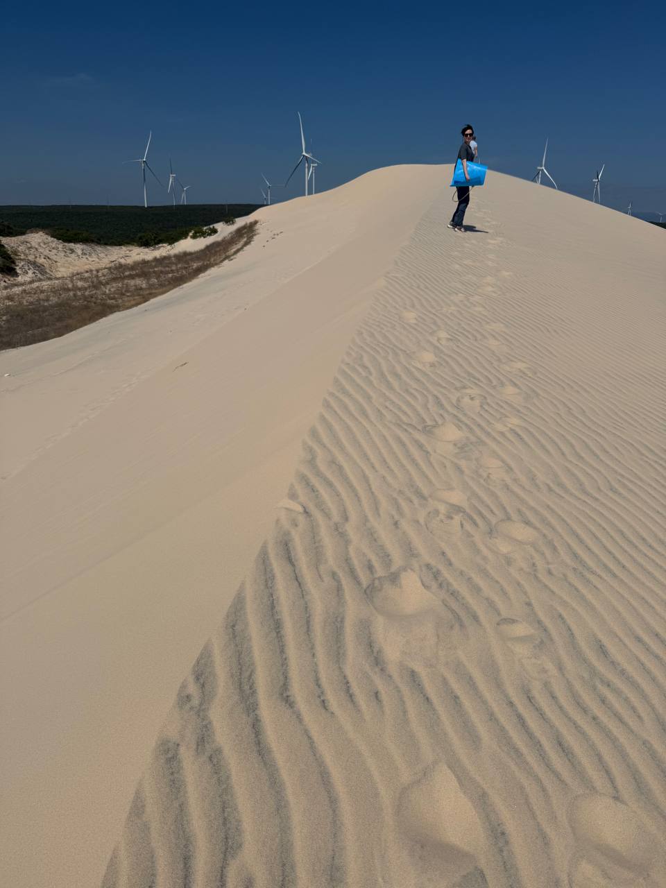 Вьетнам Юг. От дельты до облаков. (14/50)