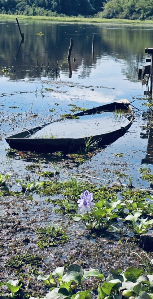 Вьетнам Юг. От дельты до облаков. (5/50)