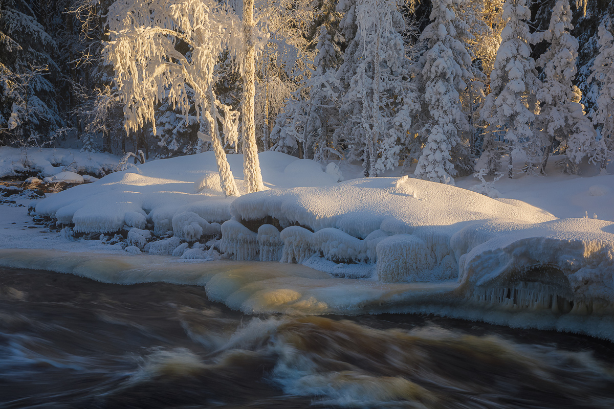 Времена года. Зимняя Карелия с фотографом. Путешествие на другую планету (72/102)
