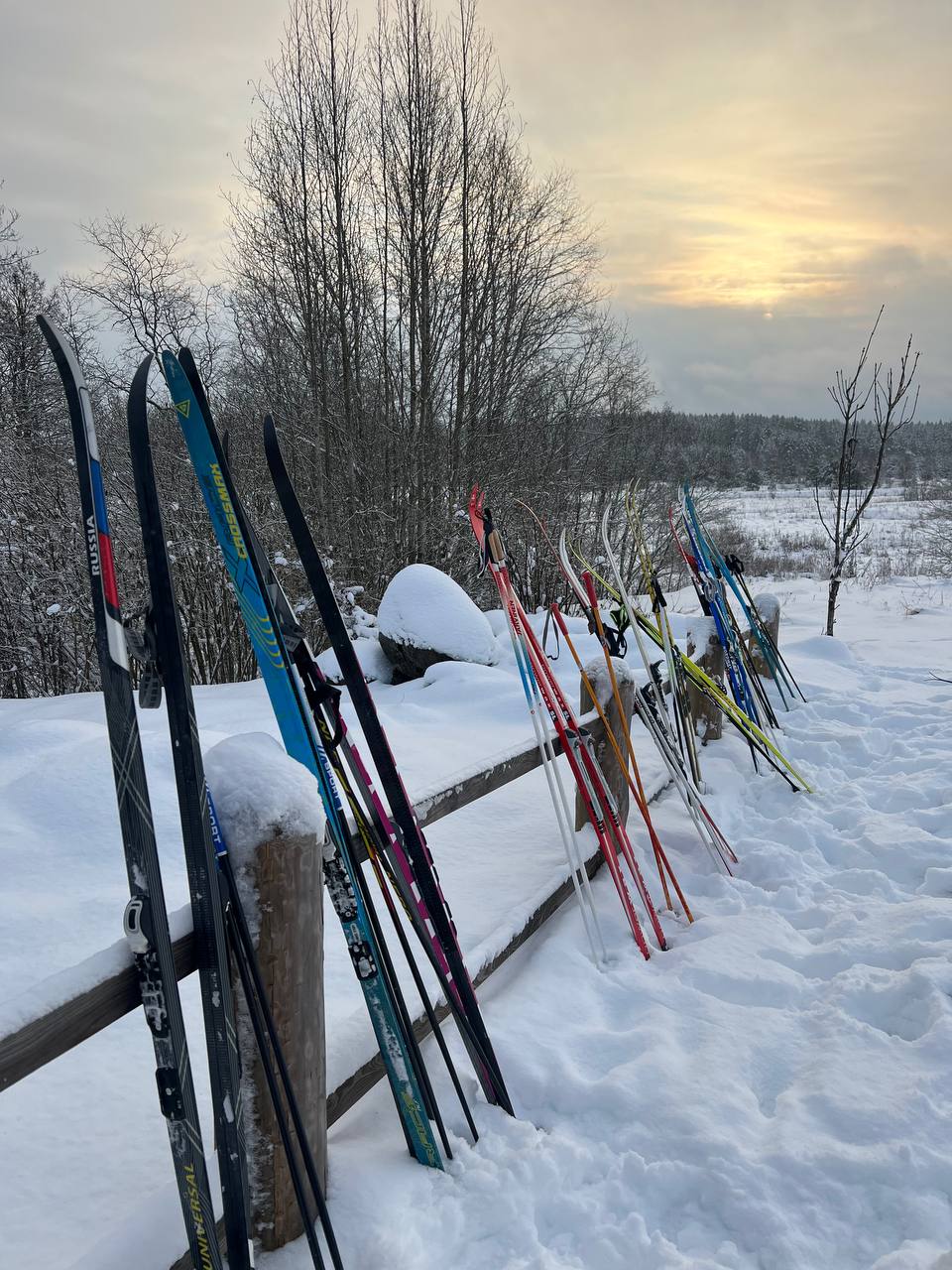 Замытье. Вдоль реки Медведицы на лыжах. (5/26)