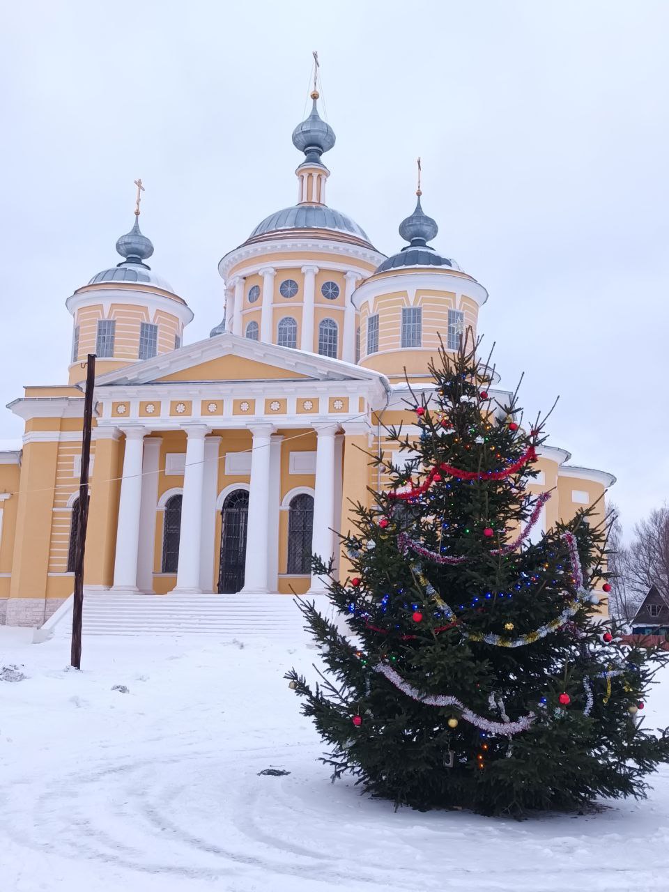 Замытье. Вдоль реки Медведицы на лыжах. (14/26)