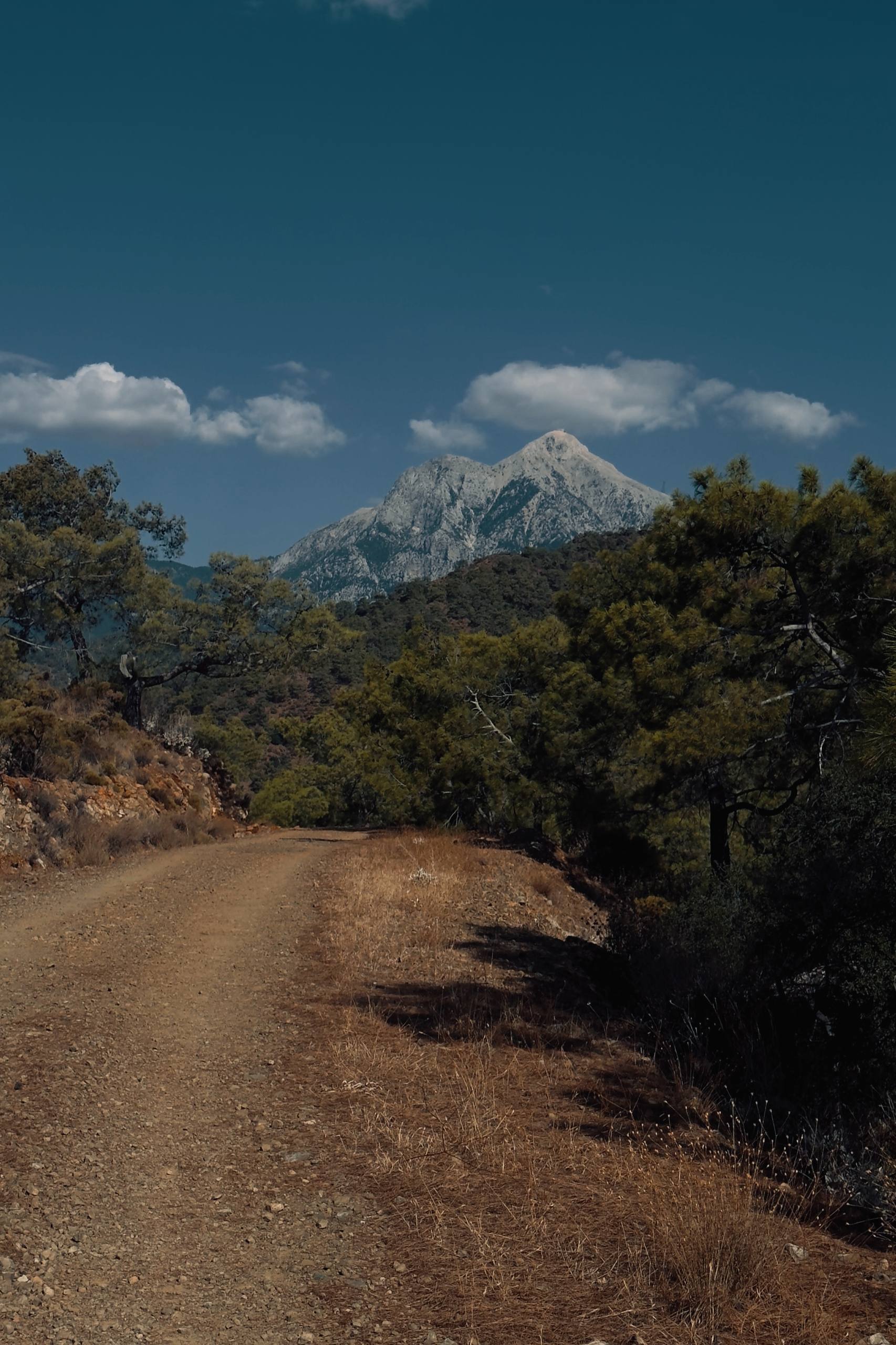 Активная Турция  Ликийская тропа (2/35)